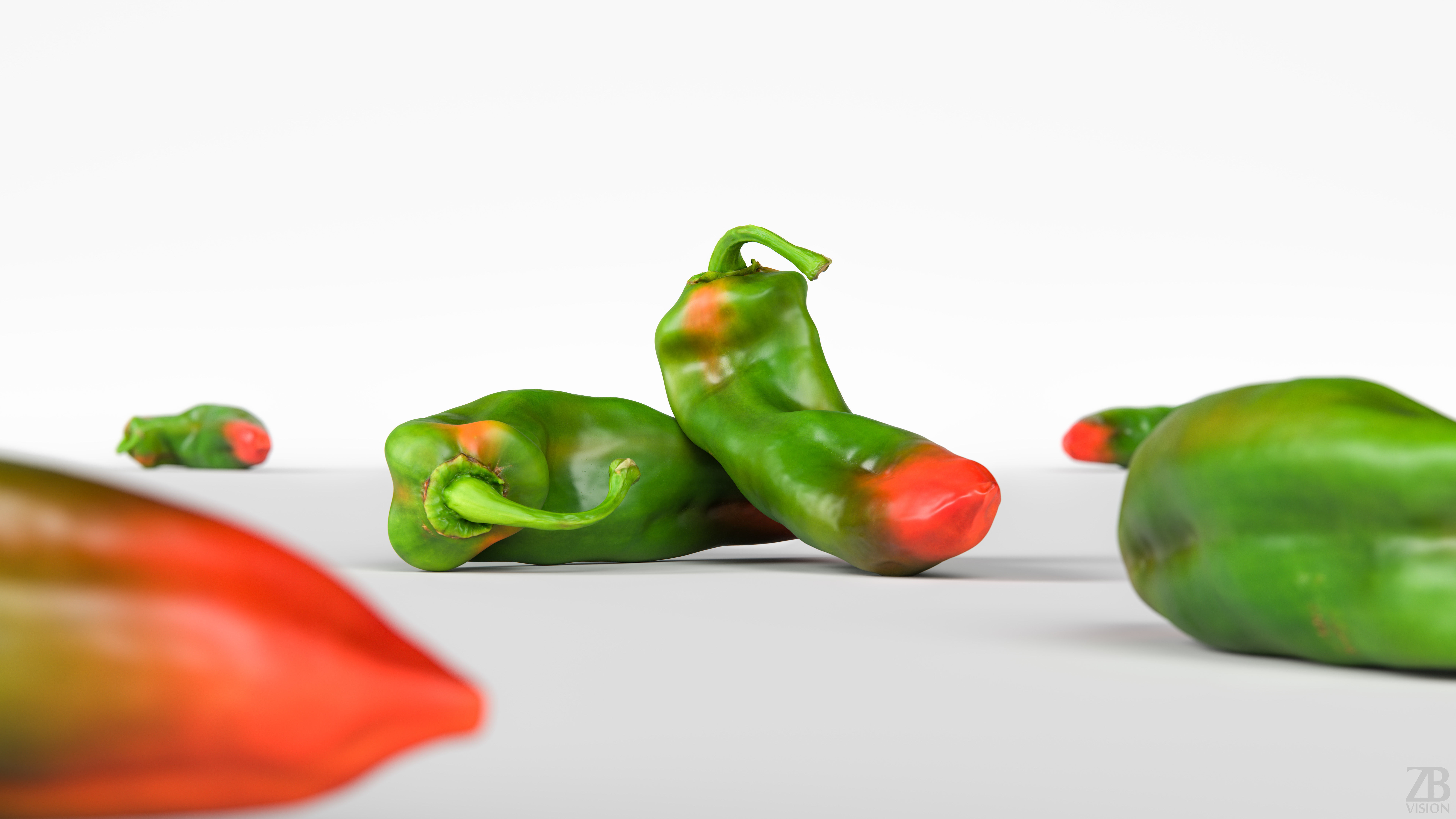 Paprika 3D model_1