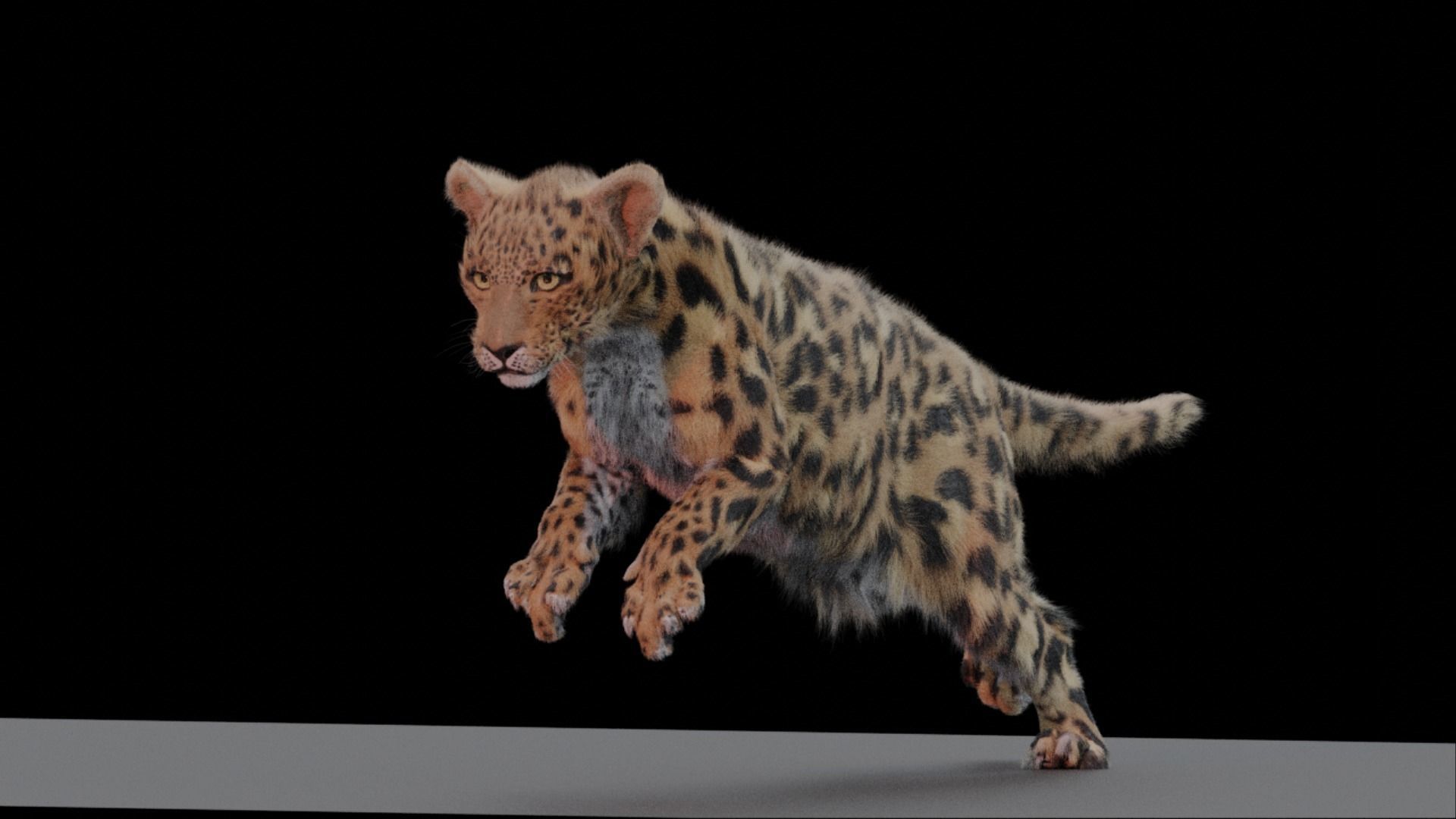 Jaguar leopard puma Fur Rigged and ANIMATED 3D model_8