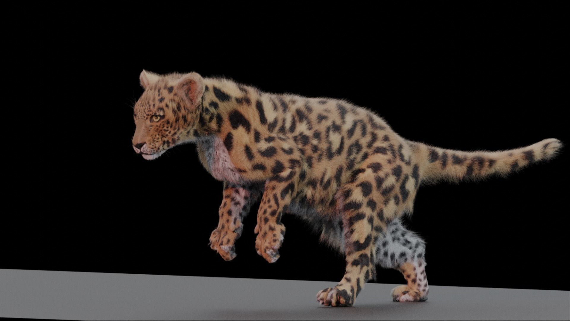 Jaguar leopard puma Fur Rigged and ANIMATED 3D model_3