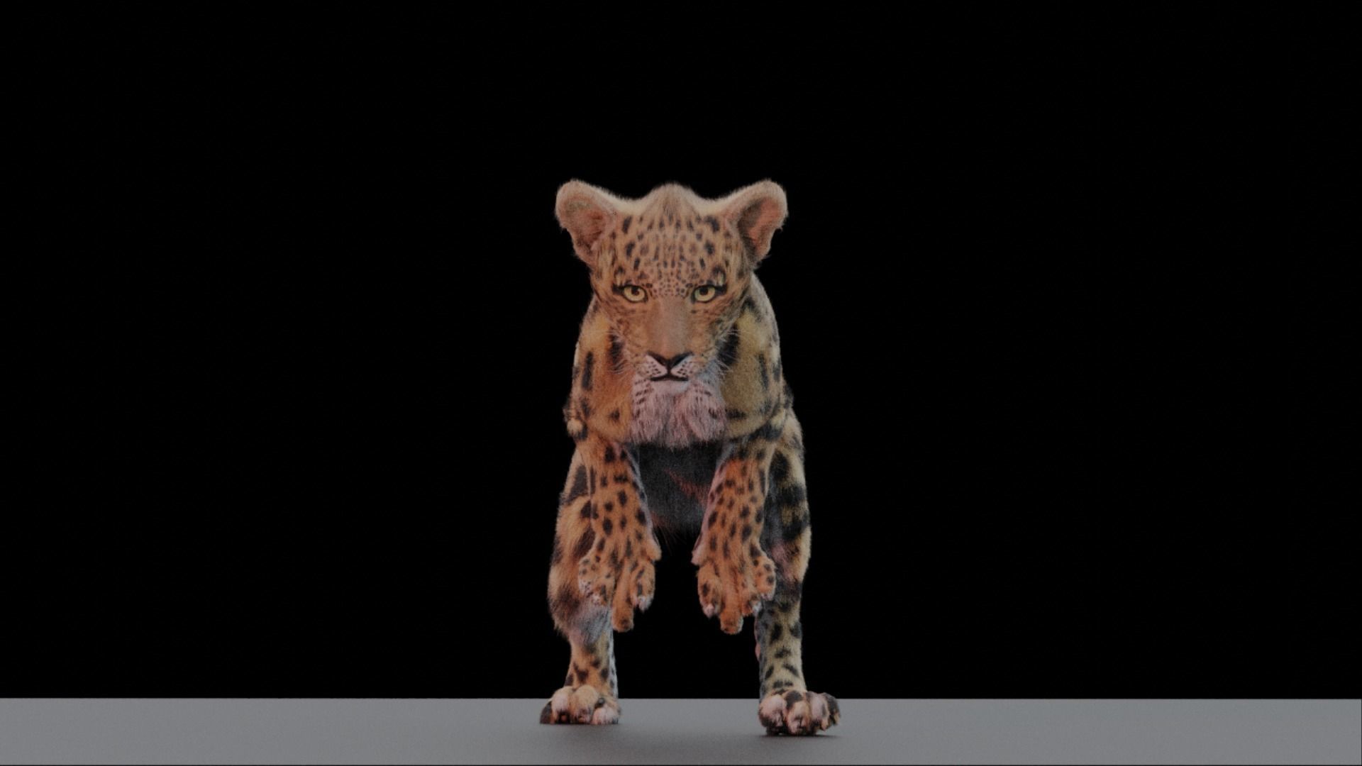 Jaguar leopard puma Fur Rigged and ANIMATED 3D model_10