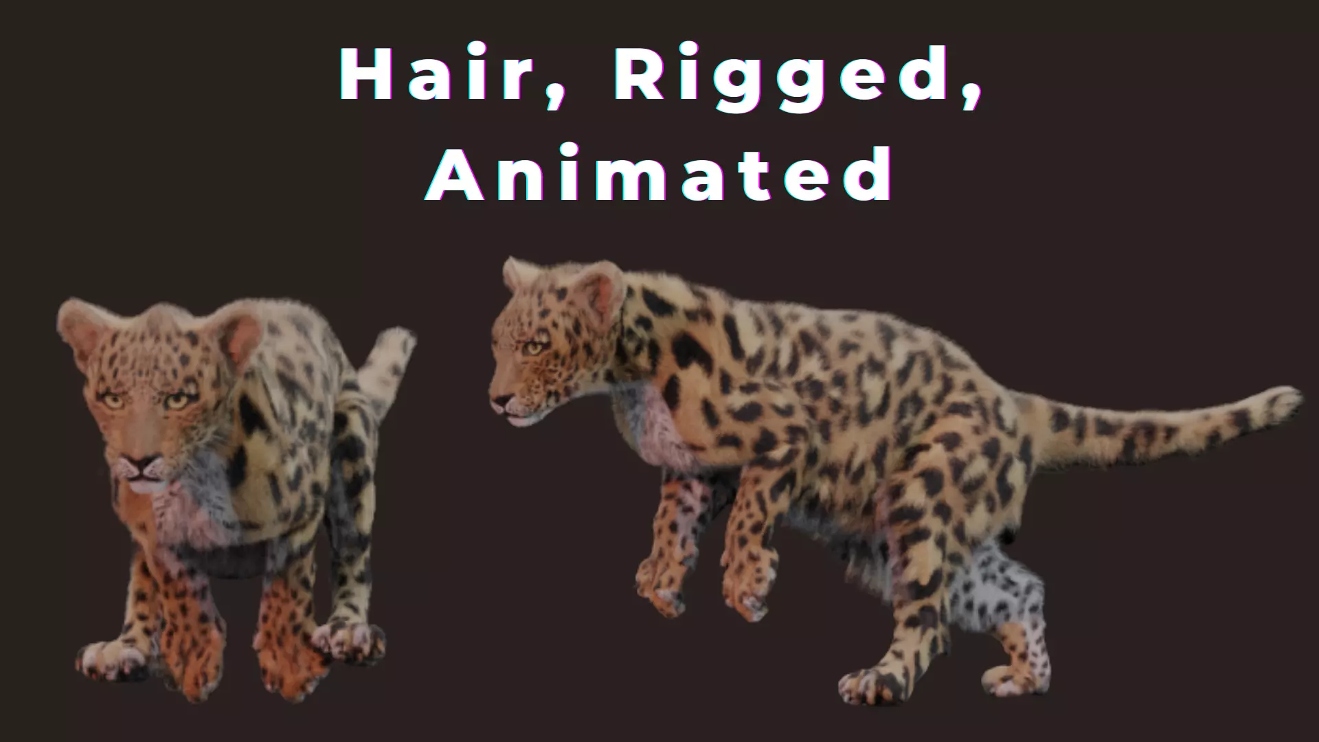 Jaguar leopard puma Fur Rigged and ANIMATED 3D model_0