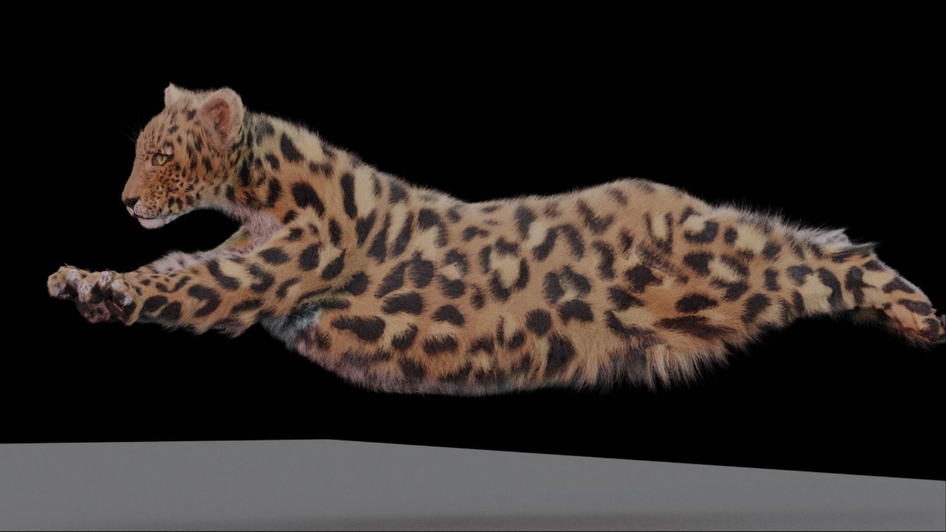 Jaguar leopard puma Fur Rigged and ANIMATED 3D model_5