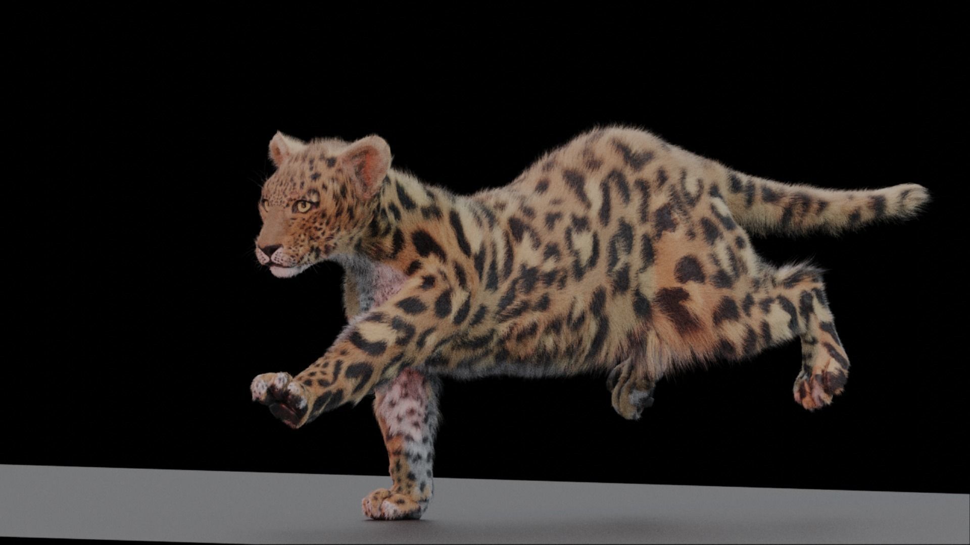 Jaguar leopard puma Fur Rigged and ANIMATED 3D model_6