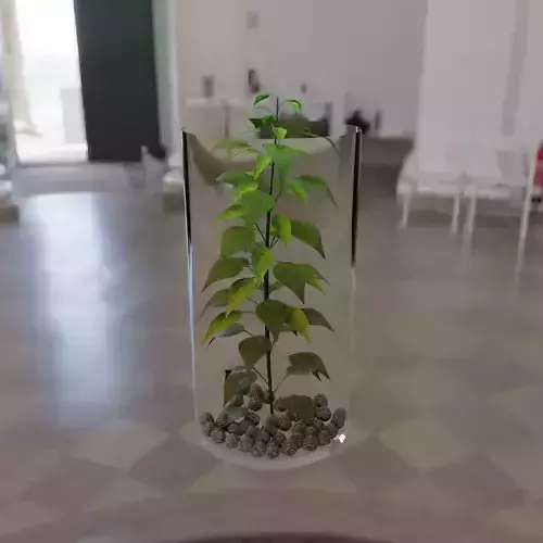 Modelagem De Vaso de Flor 3D print model