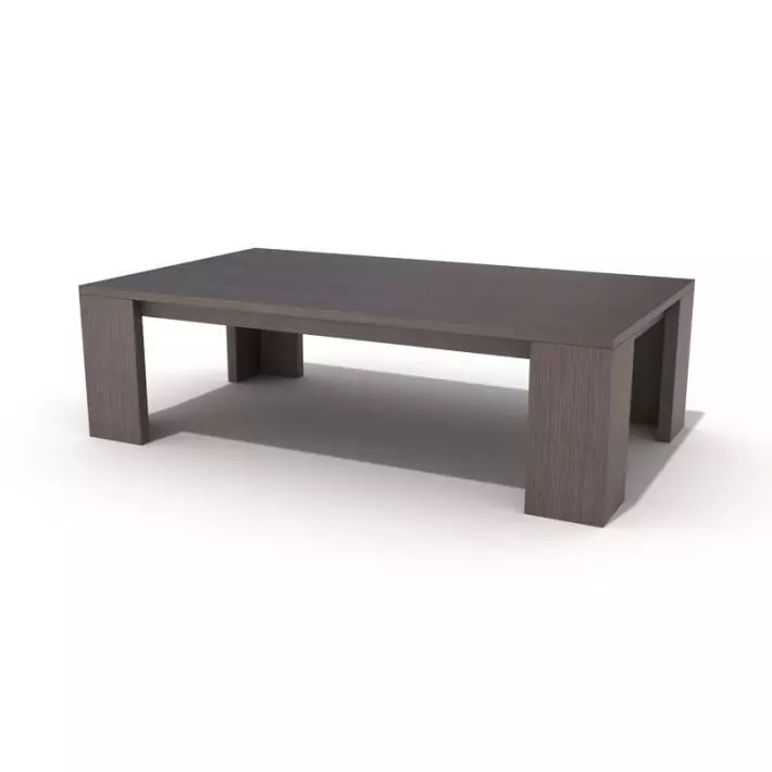 Rectangular Wood Table 3D model_0
