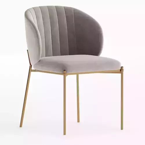 Shell Back Dining Chair