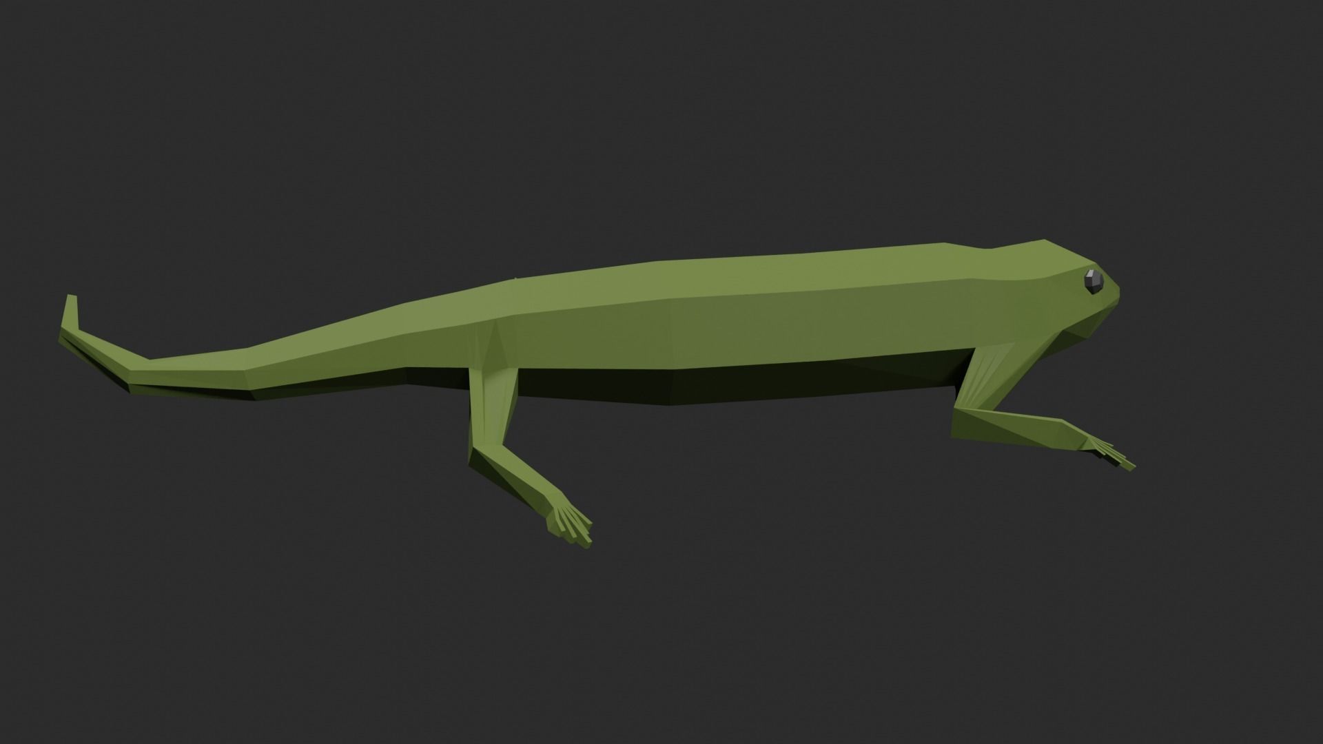 Lowpoly Lizard Low-poly 3D model_20