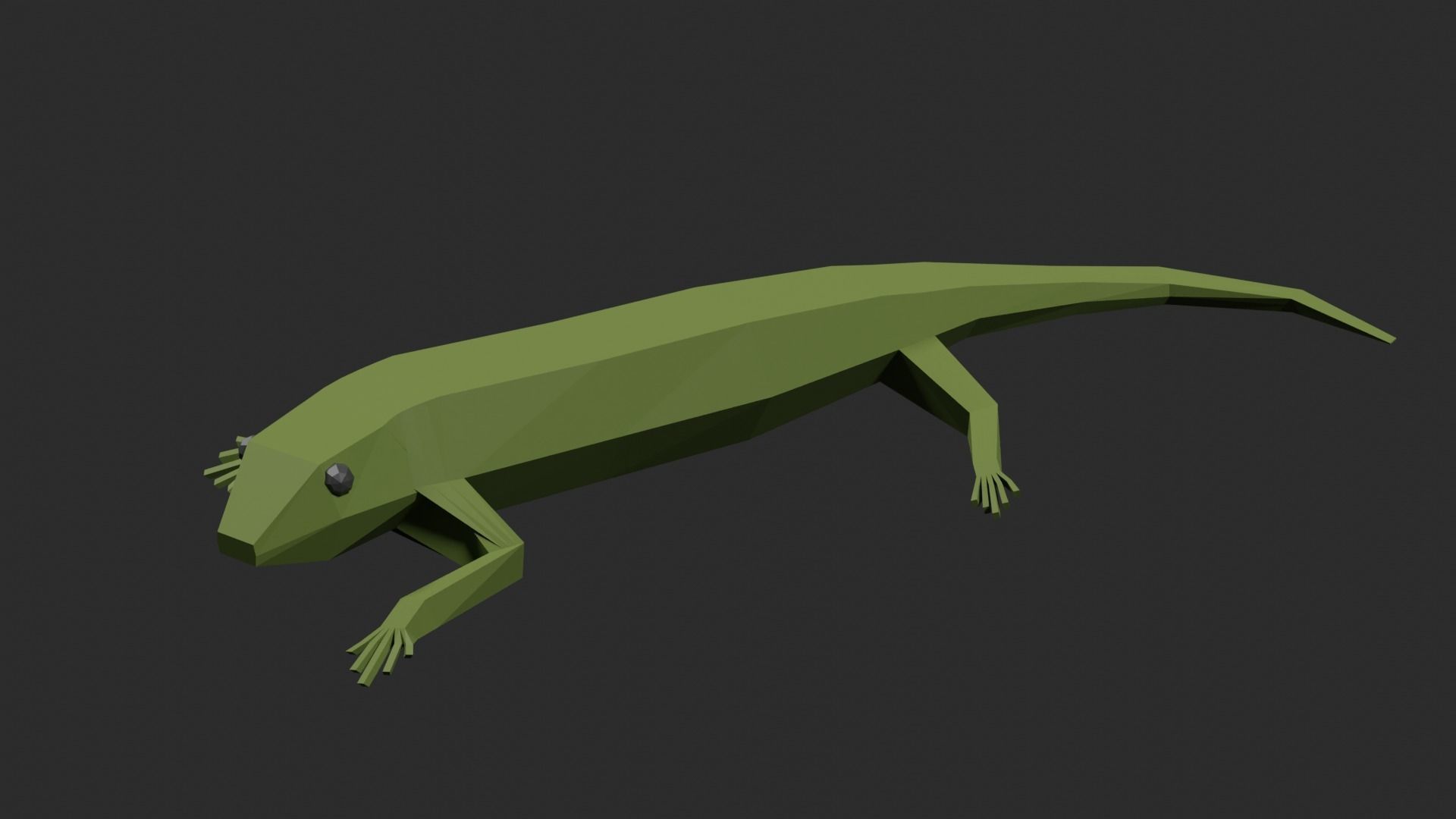 Lowpoly Lizard Low-poly 3D model_3