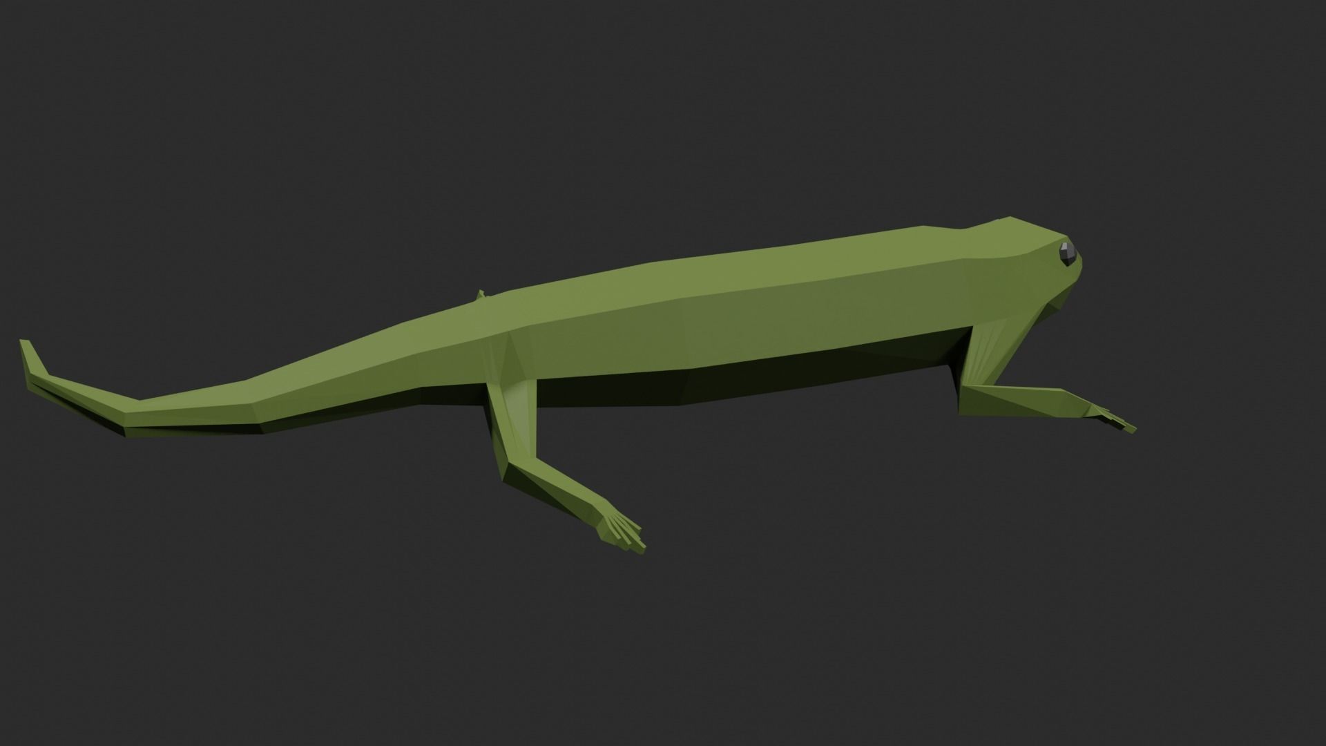 Lowpoly Lizard Low-poly 3D model_19