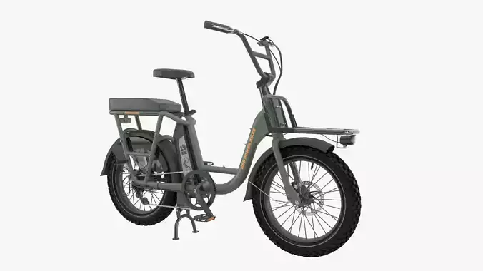 Radrunner electric bike with basket