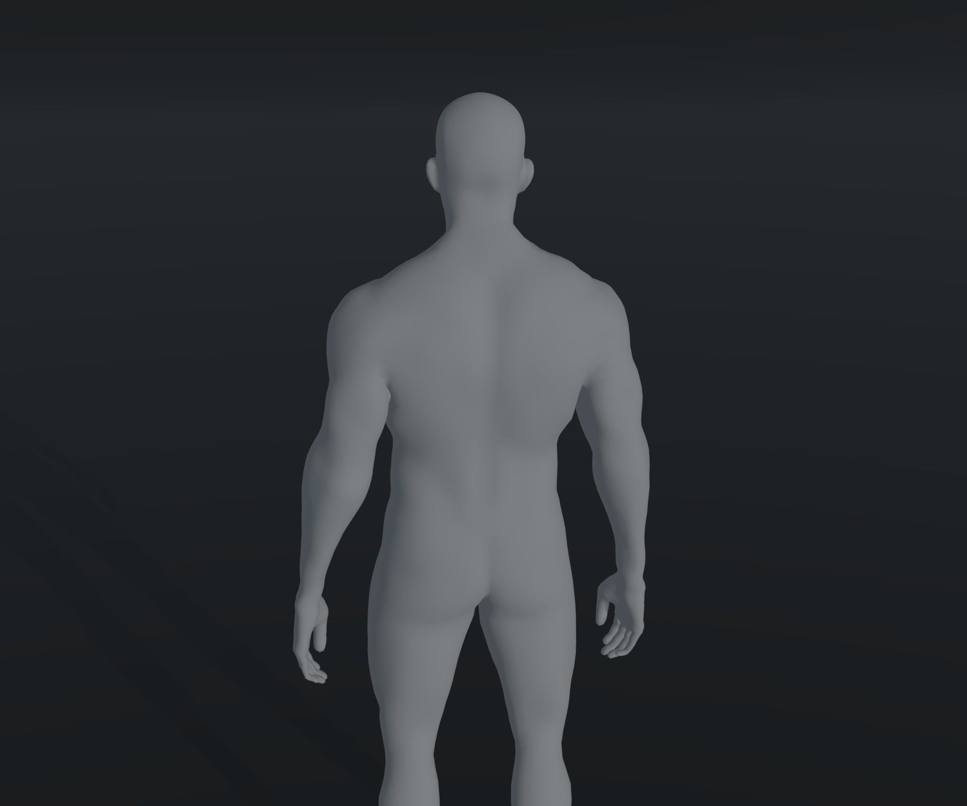 Male Body Base Mesh Animated and Rigged 3D Model 10k Polygons Low-poly 3D model_8