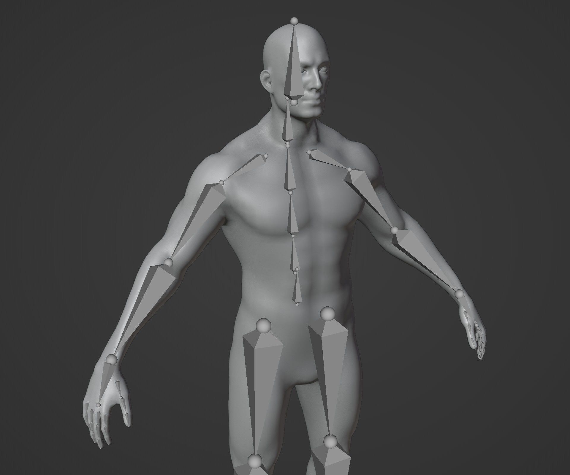 Male Body Base Mesh Animated and Rigged 3D Model 10k Polygons Low-poly 3D model_2