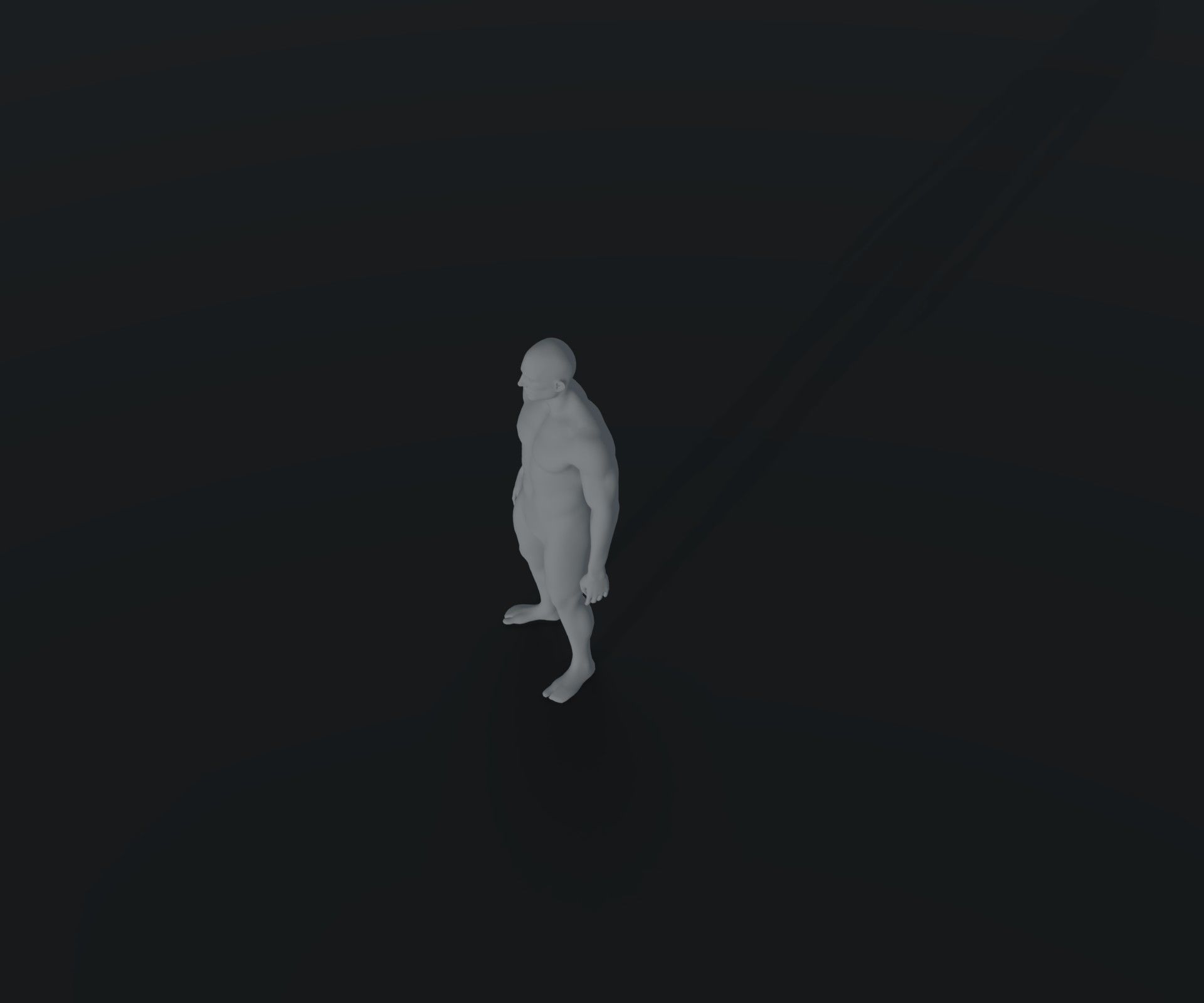 Male Body Base Mesh Animated and Rigged 3D Model 10k Polygons Low-poly 3D model_18