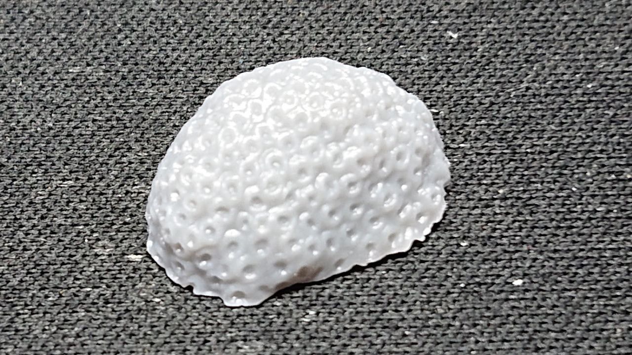 Basing Details Pack 1 - Corals 3D print model_17