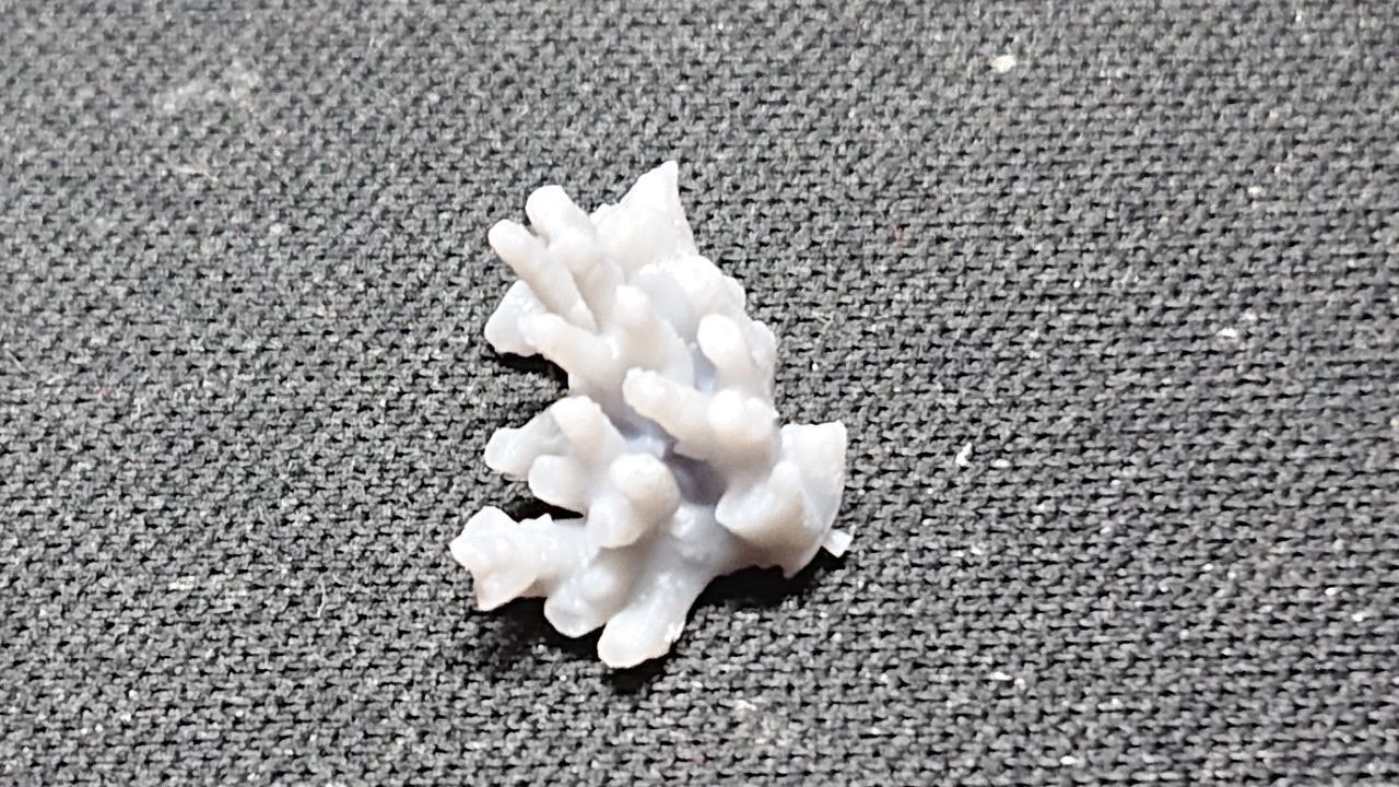 Basing Details Pack 1 - Corals 3D print model_19