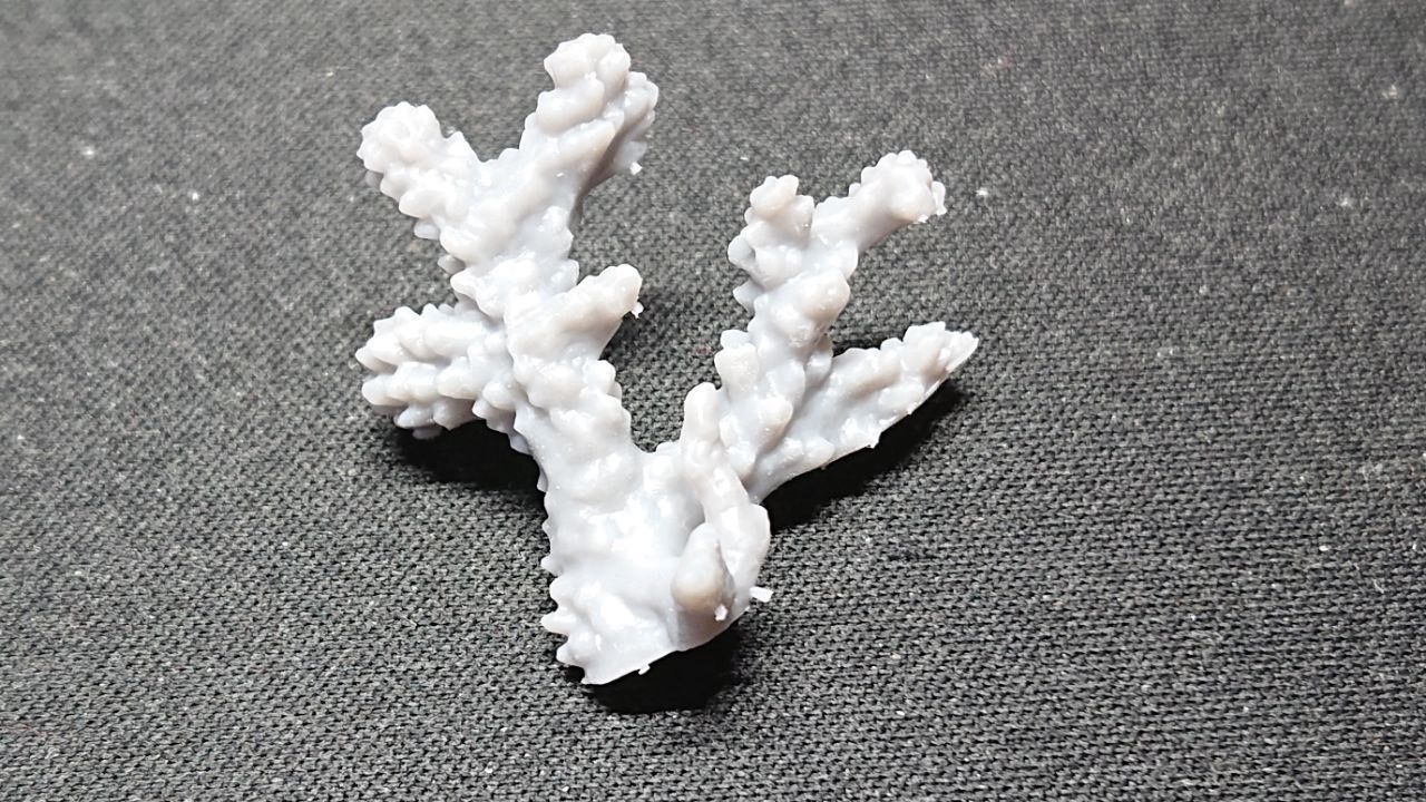 Basing Details Pack 1 - Corals 3D print model_13