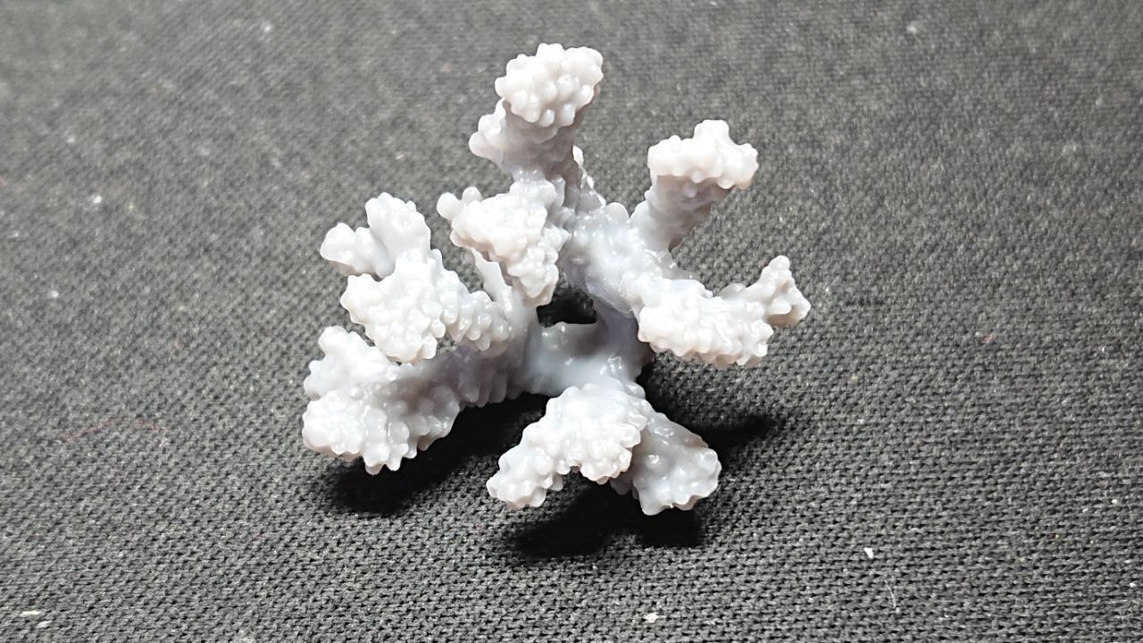 Basing Details Pack 1 - Corals 3D print model_10