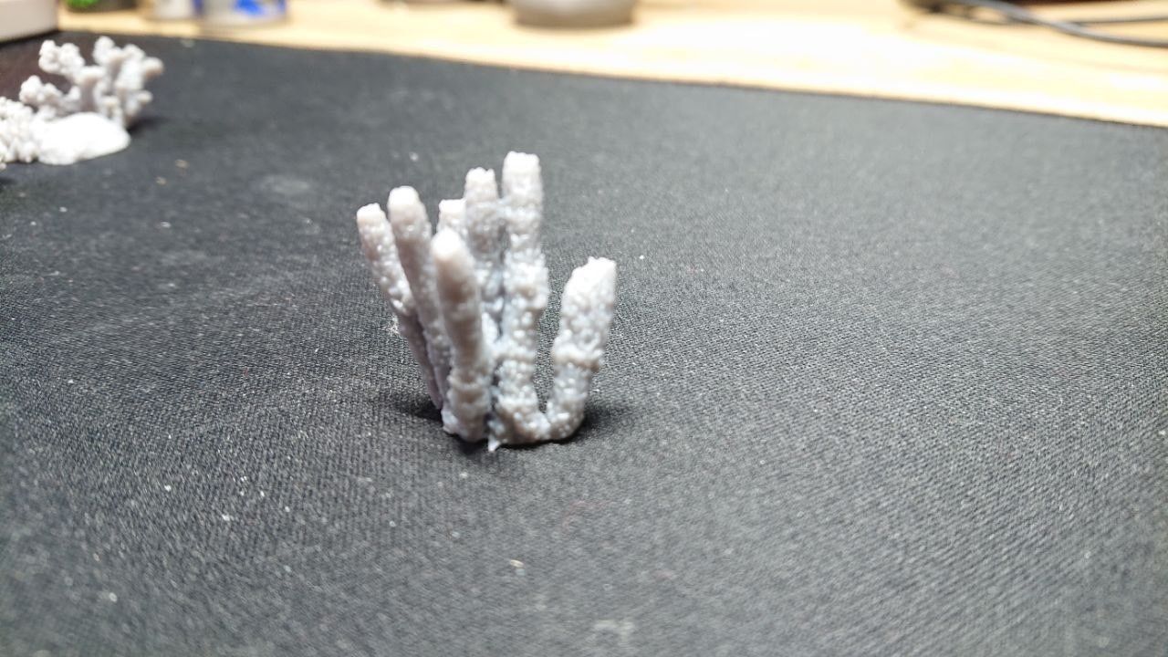 Basing Details Pack 1 - Corals 3D print model_11