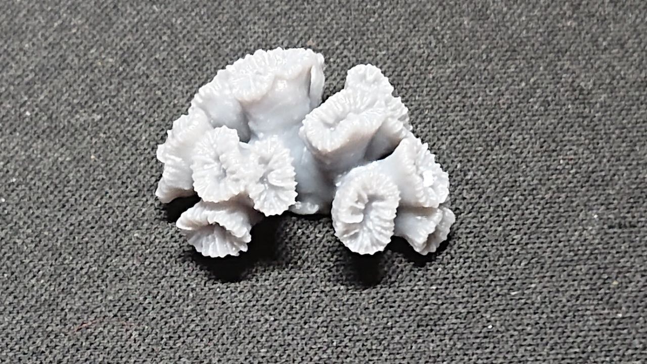 Basing Details Pack 1 - Corals 3D print model_12