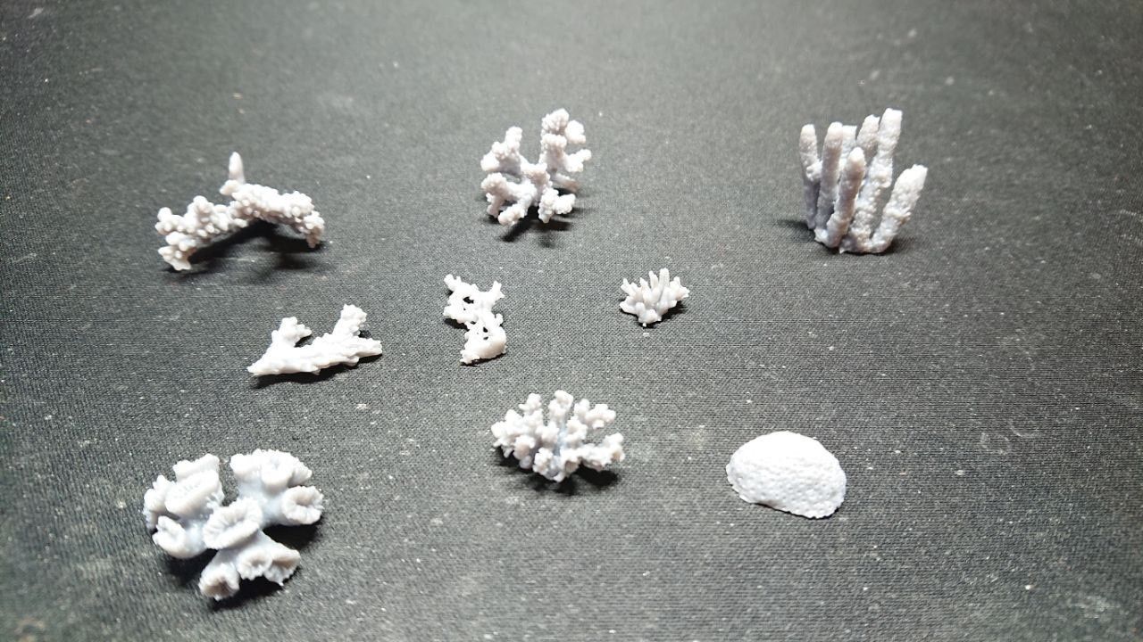 Basing Details Pack 1 - Corals 3D print model_6