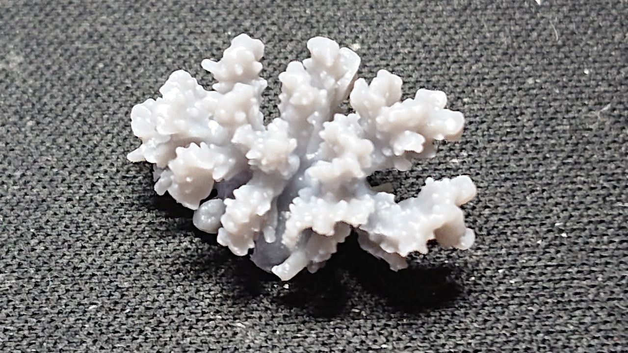 Basing Details Pack 1 - Corals 3D print model_14