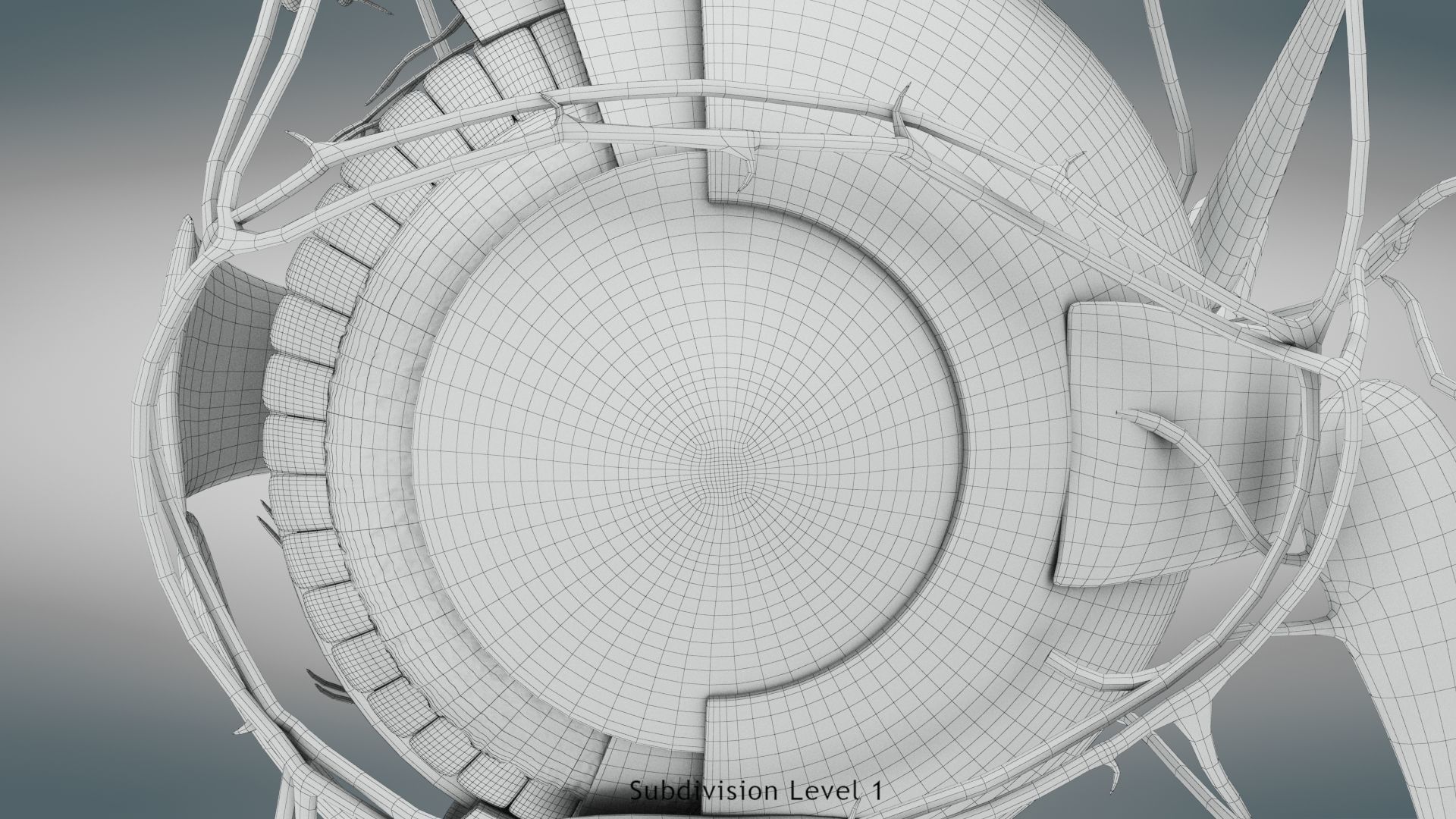 Eye Anatomy Low-poly 3D model_16
