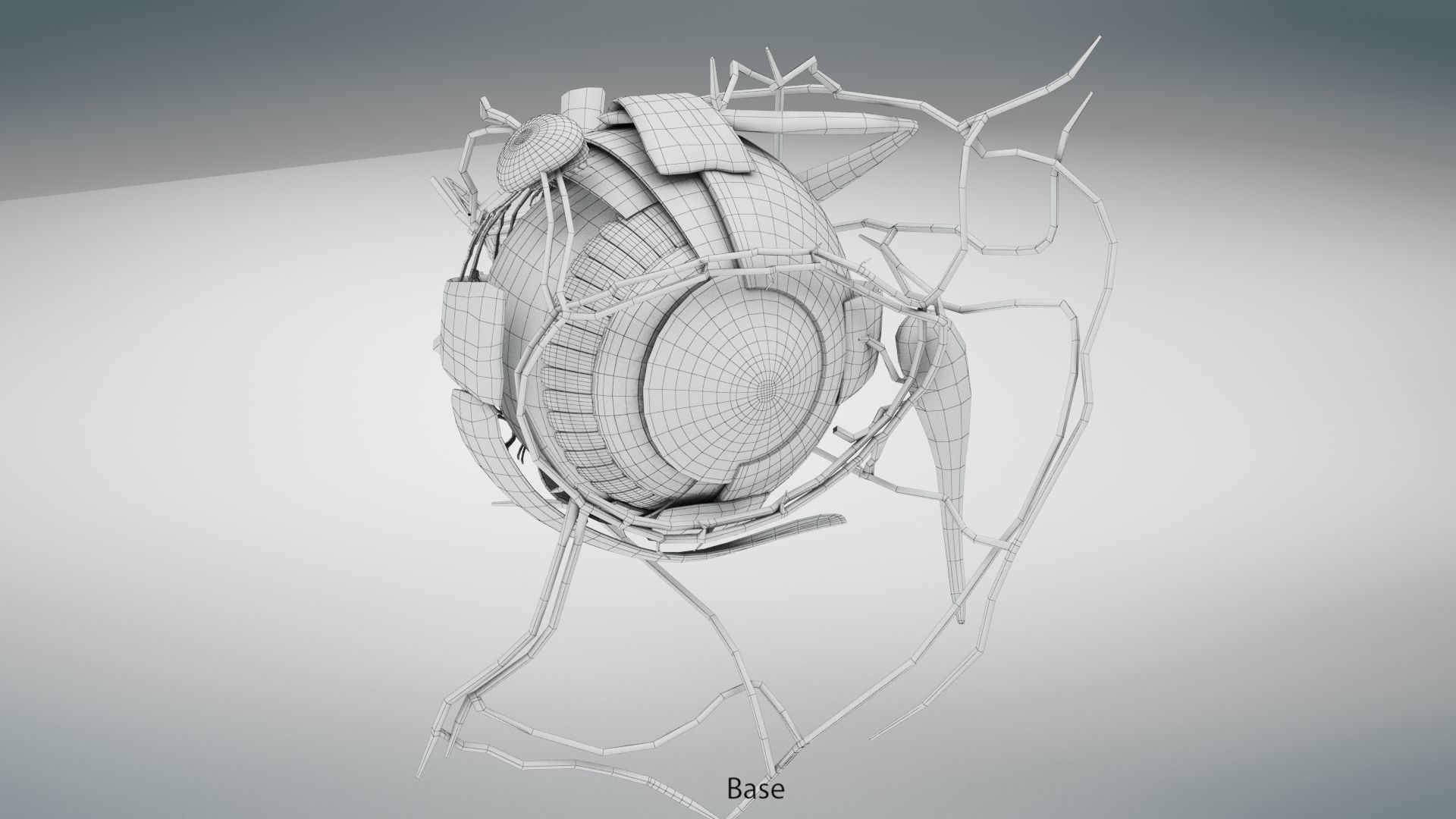 Eye Anatomy Low-poly 3D model_19