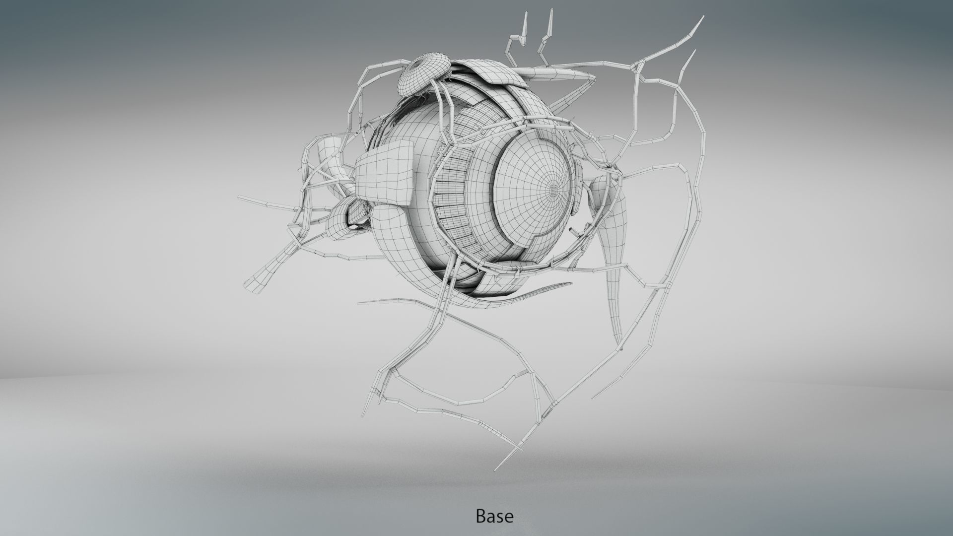Eye Anatomy Low-poly 3D model_26