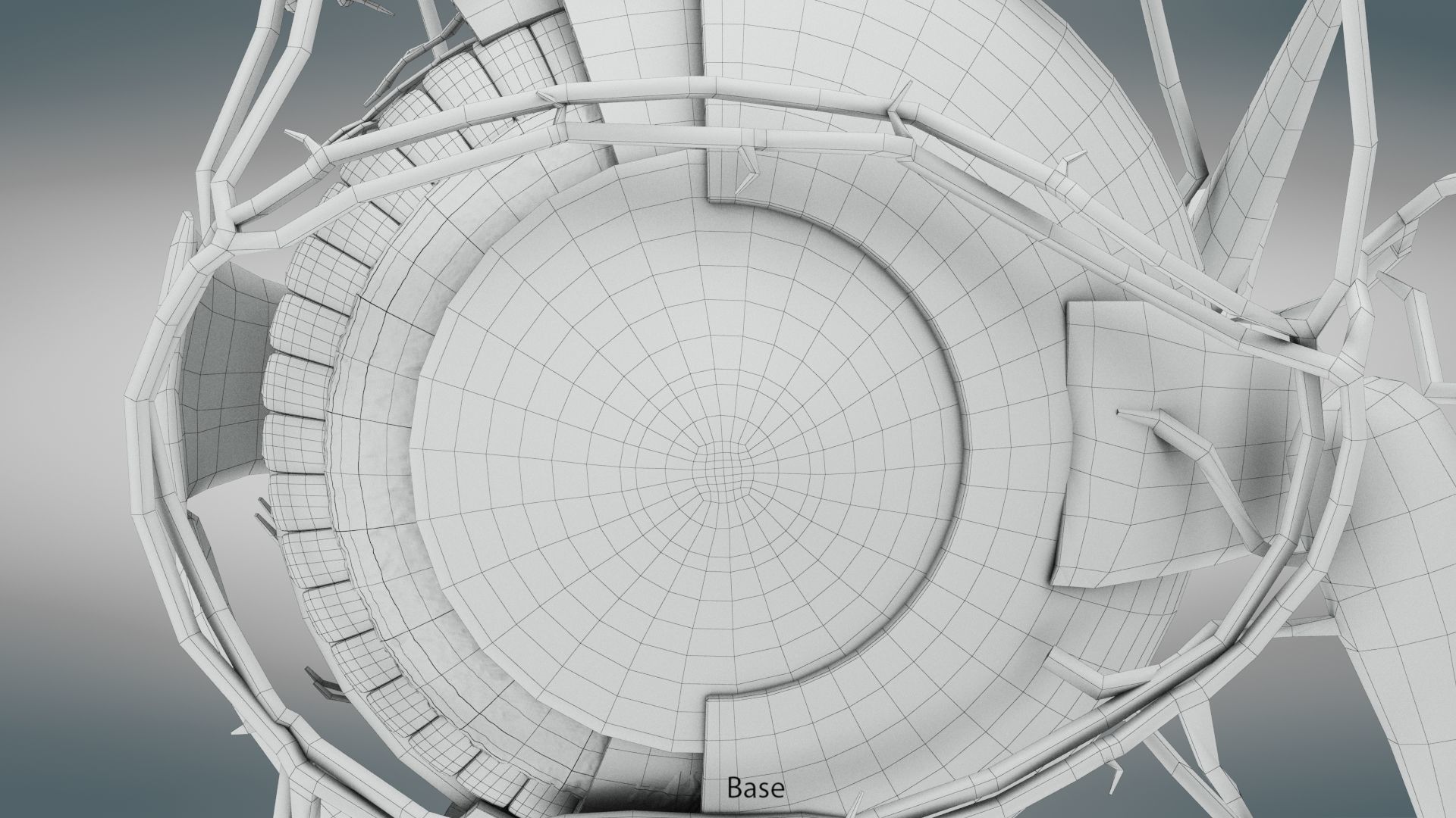 Eye Anatomy Low-poly 3D model_17