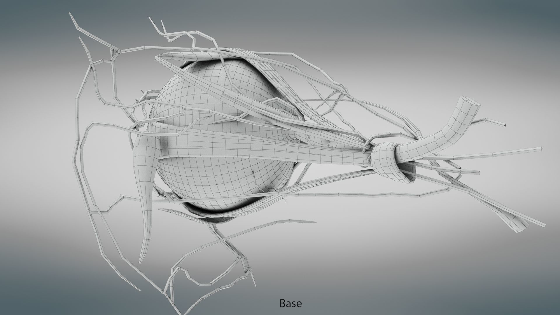 Eye Anatomy Low-poly 3D model_36