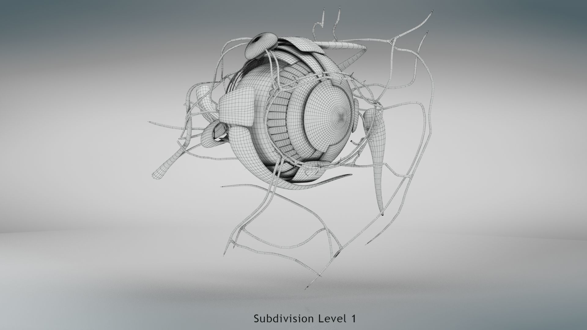 Eye Anatomy Low-poly 3D model_14