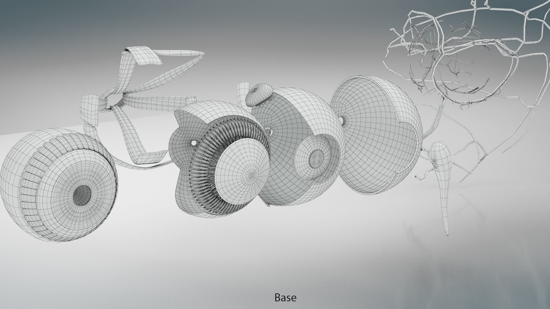Eye Anatomy Low-poly 3D model_24