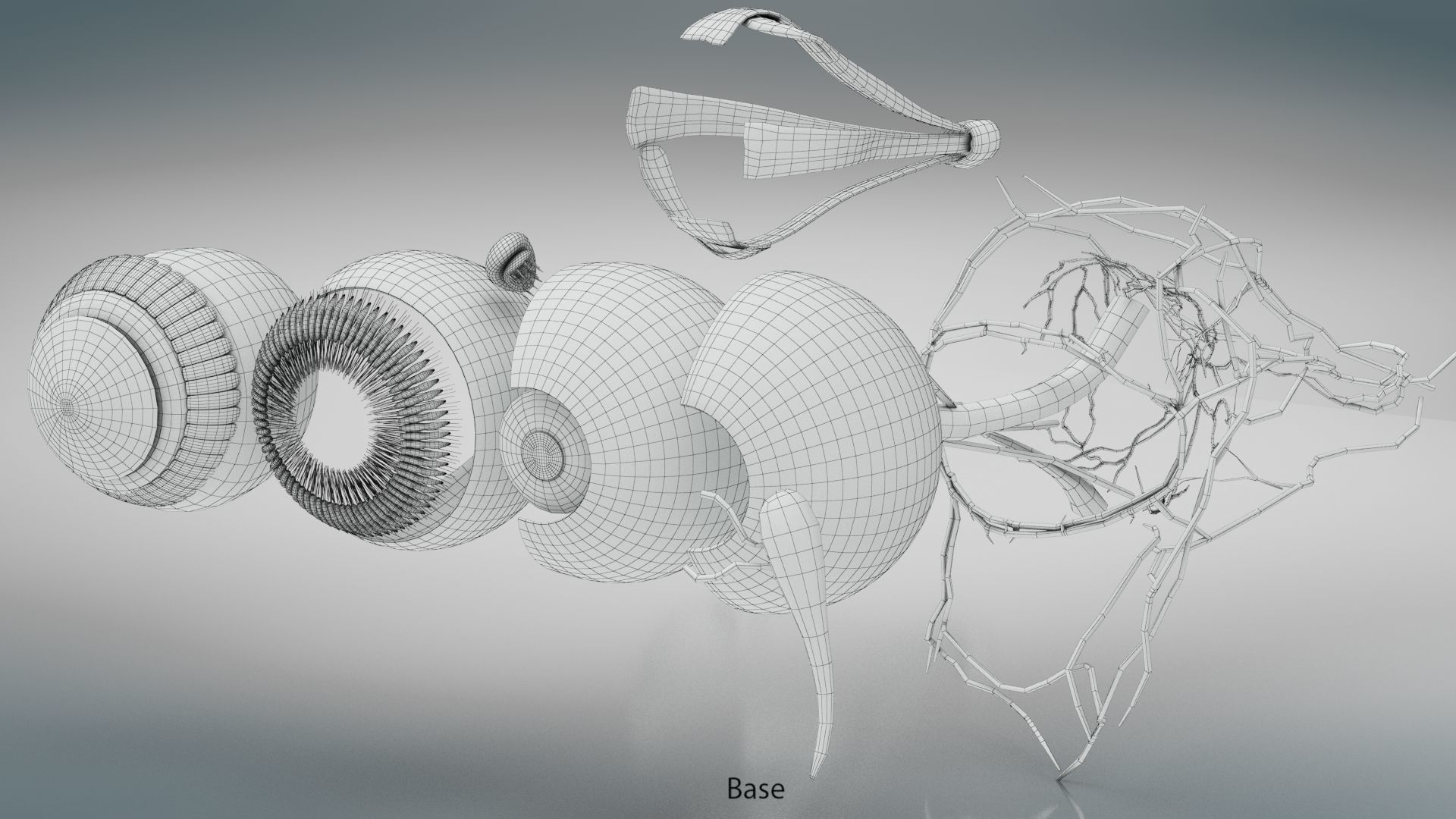 Eye Anatomy Low-poly 3D model_27