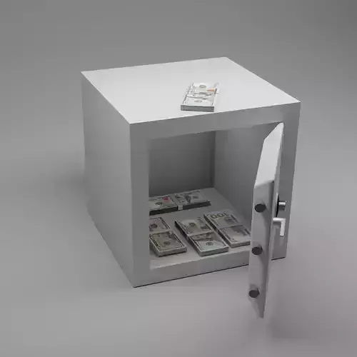 dollar safe case