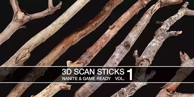 3D Scanned Sticks Low-poly 3D model