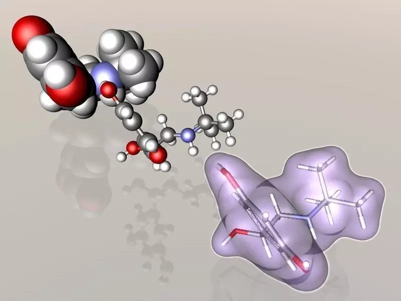 Terbutaline molecule 3D model