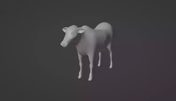 A Baby Cow