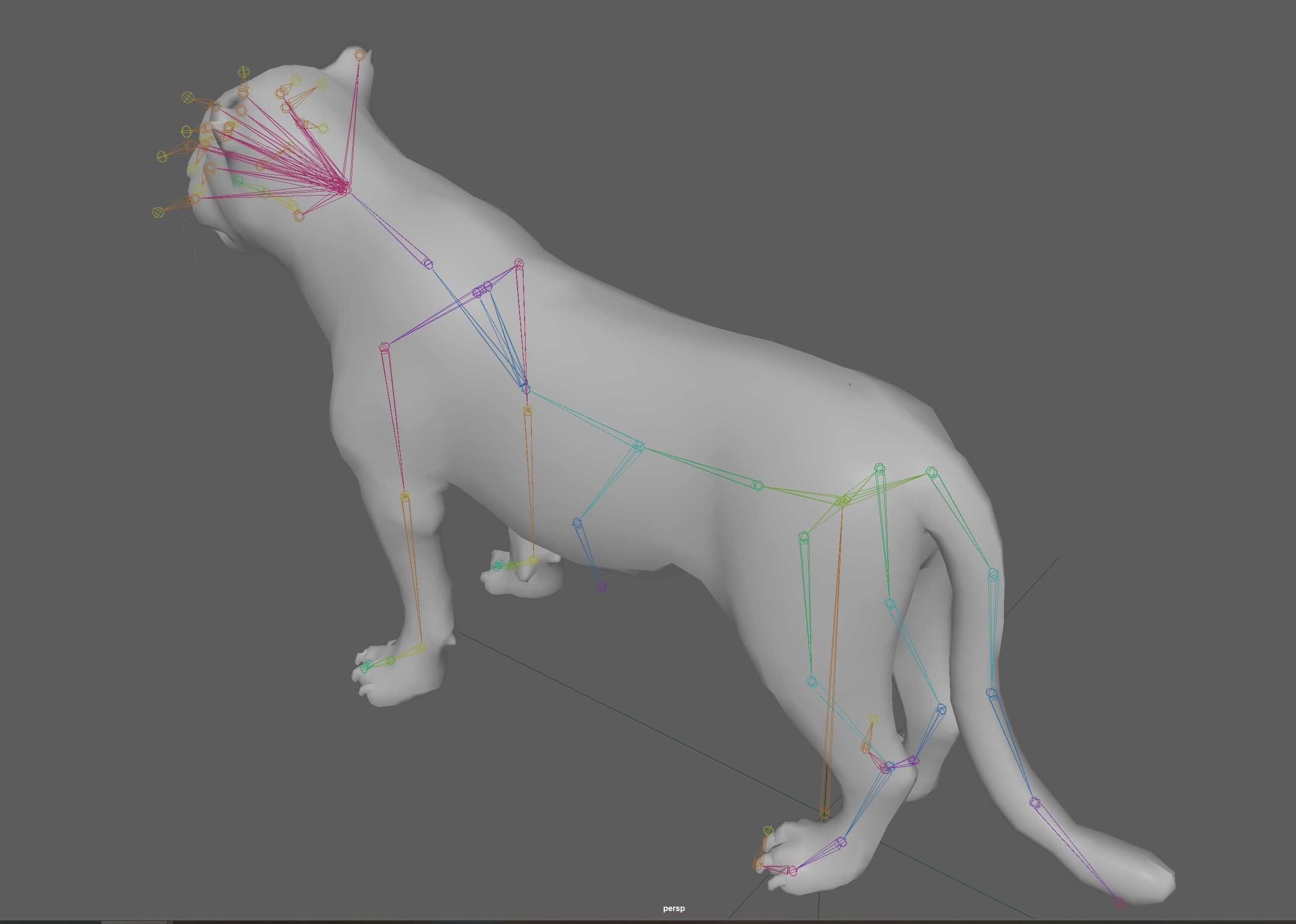 Lion female - Lioness Rig Low-poly 3D model_18