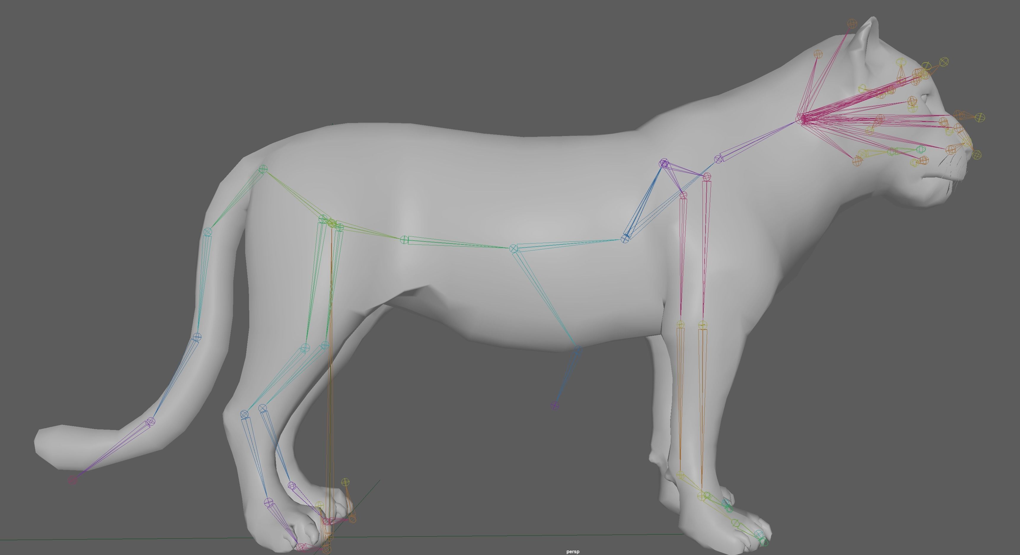 Lion female - Lioness Rig Low-poly 3D model_16