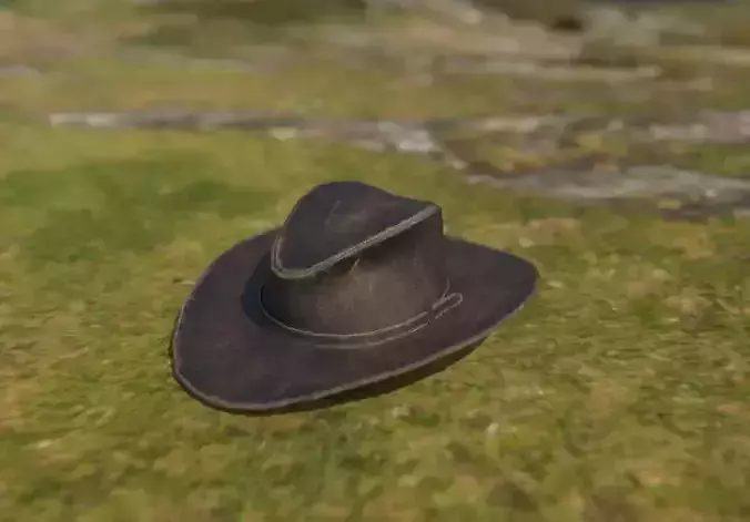 Cowboy hat