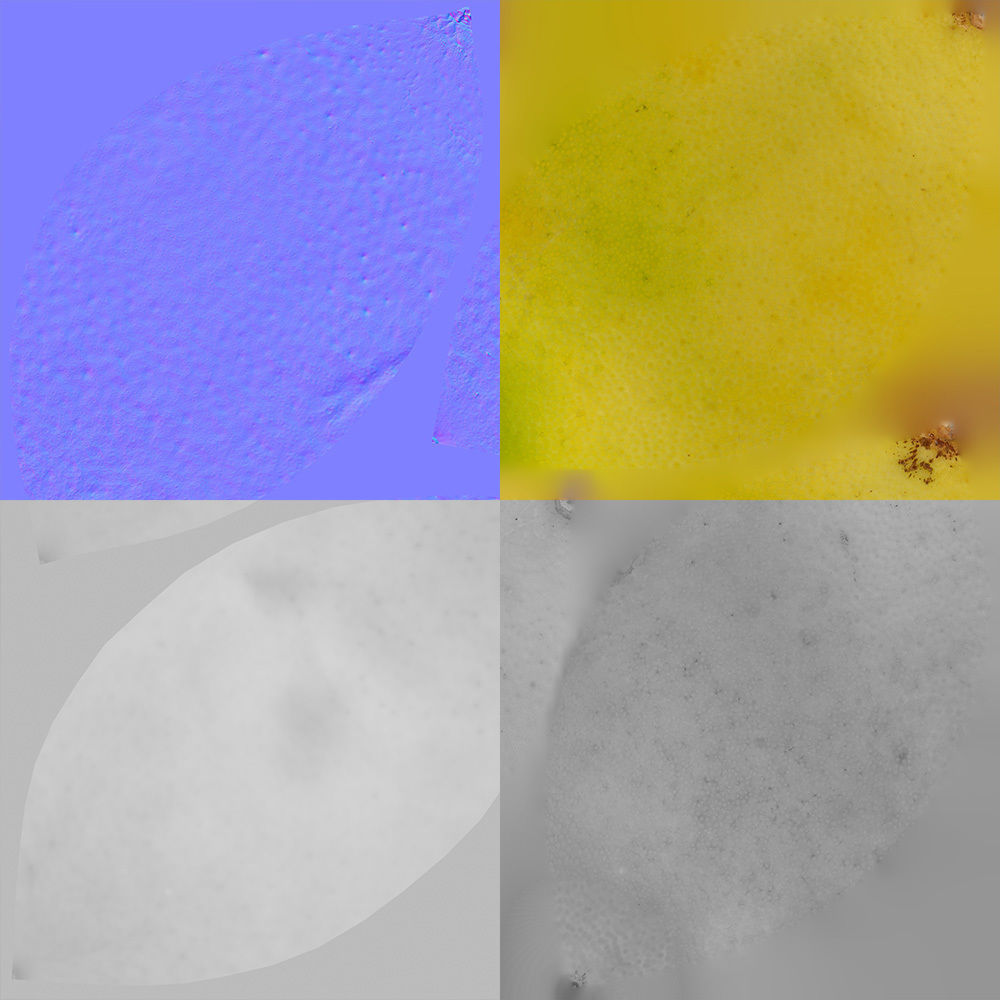 Grapefruit 3D model_11