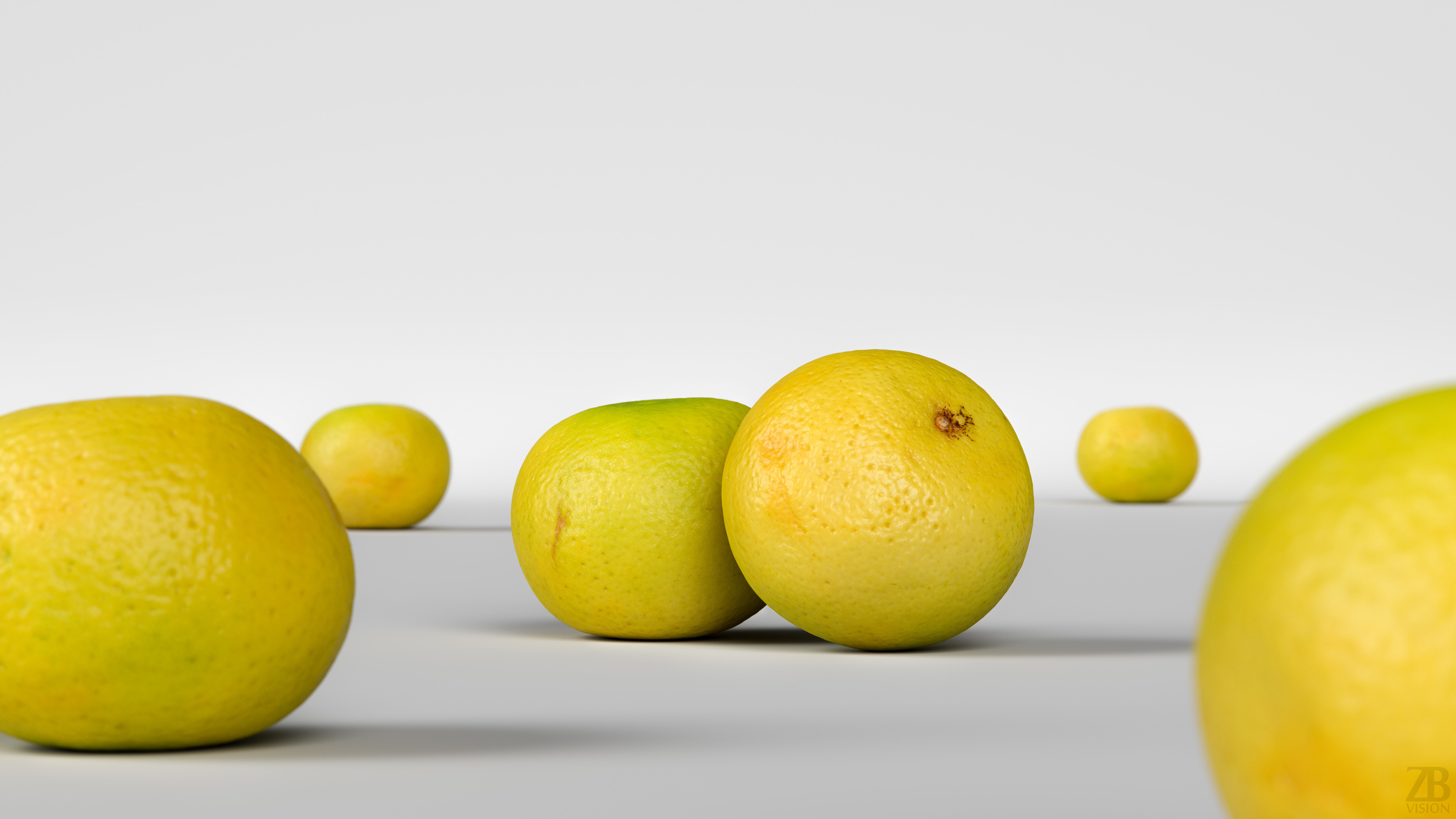 Grapefruit 3D model_1
