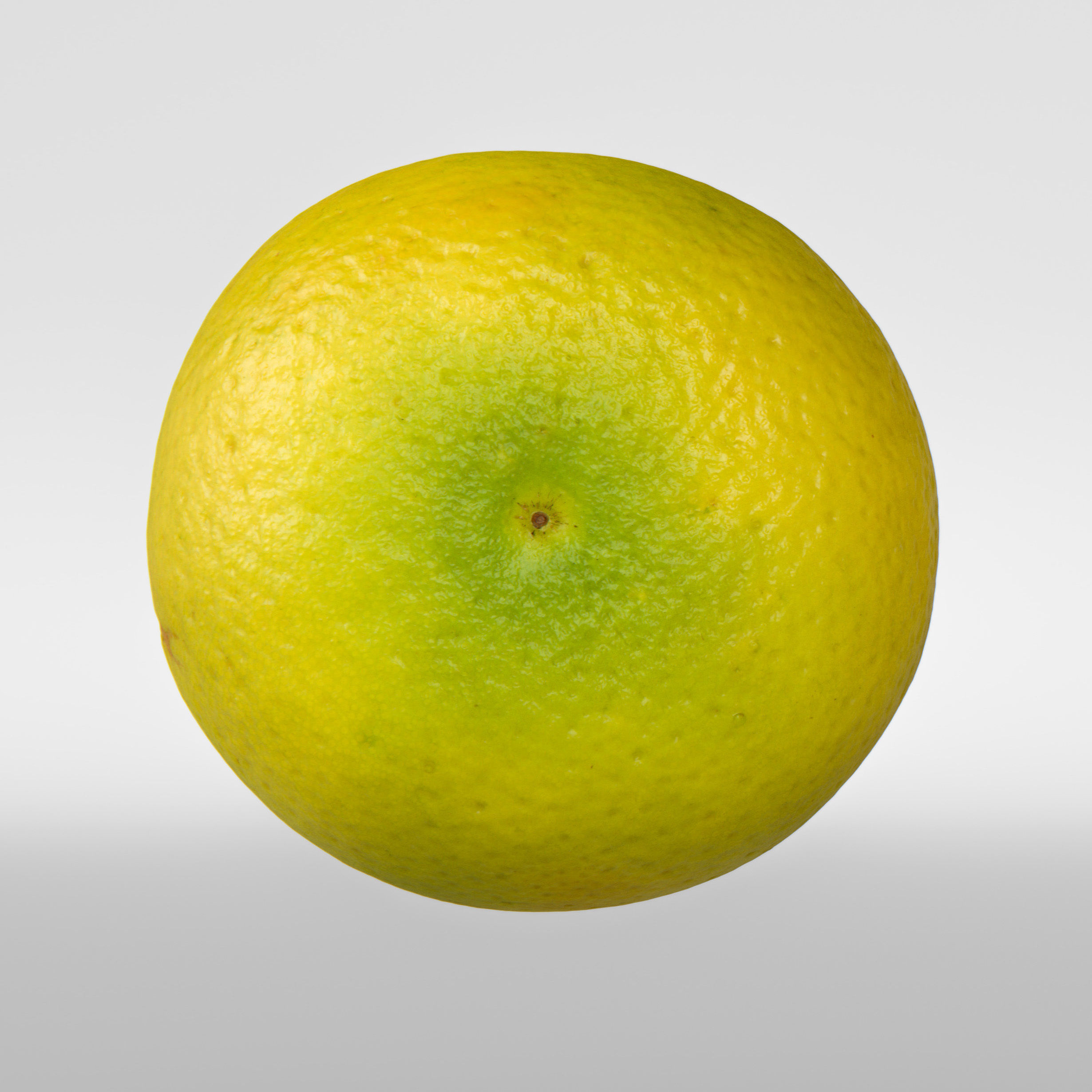 Grapefruit 3D model_6