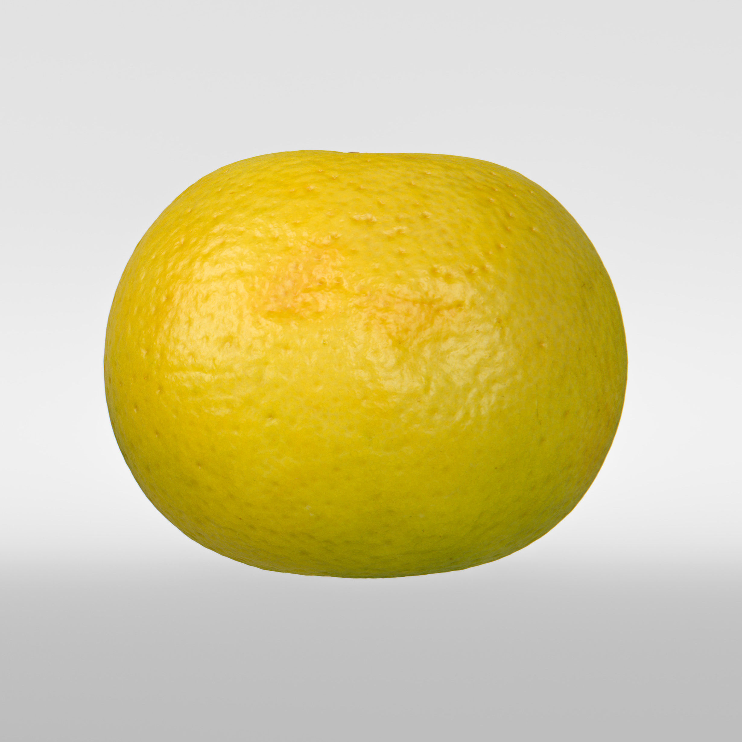 Grapefruit 3D model_7