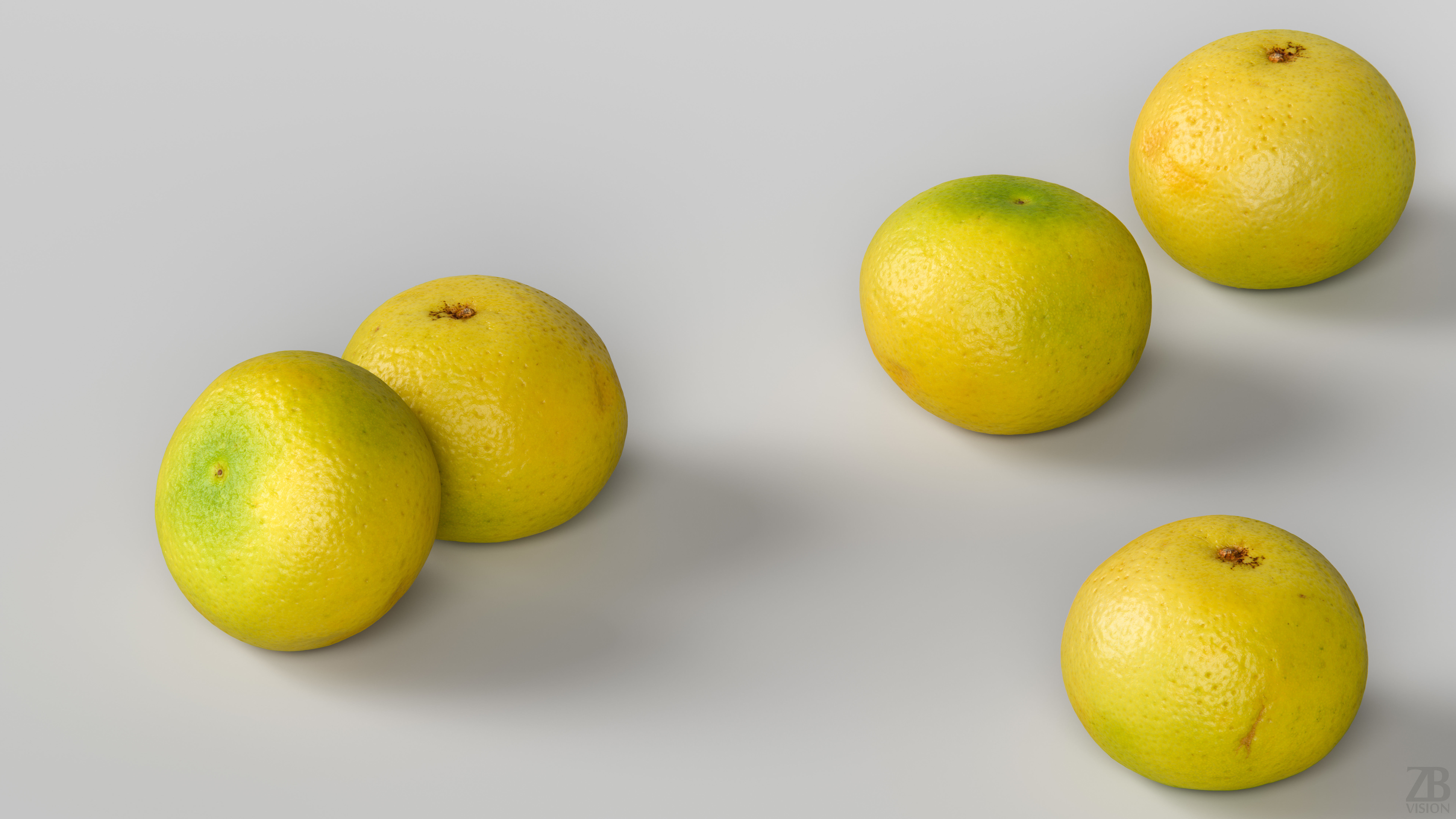 Grapefruit 3D model_2