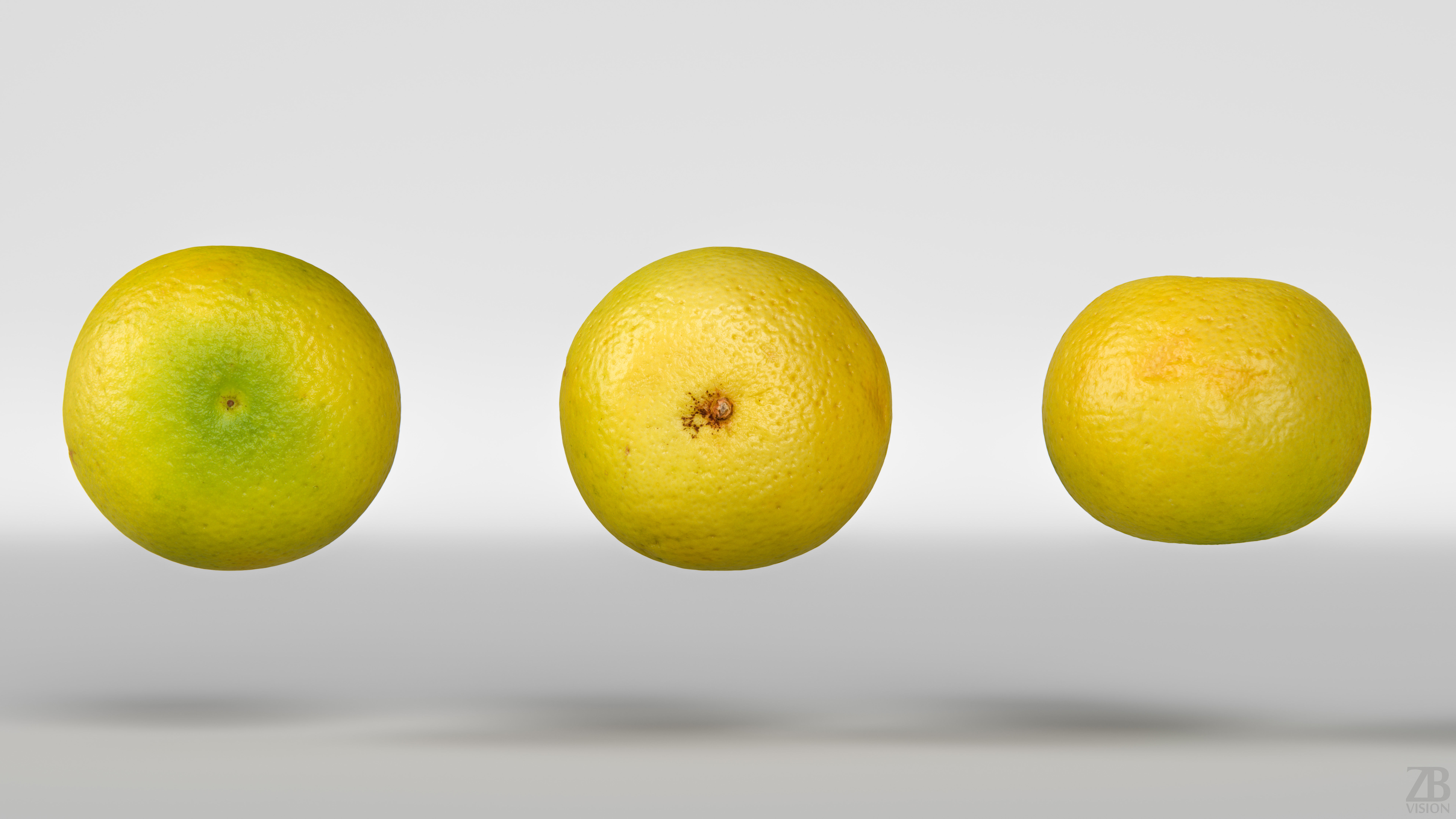 Grapefruit 3D model_4