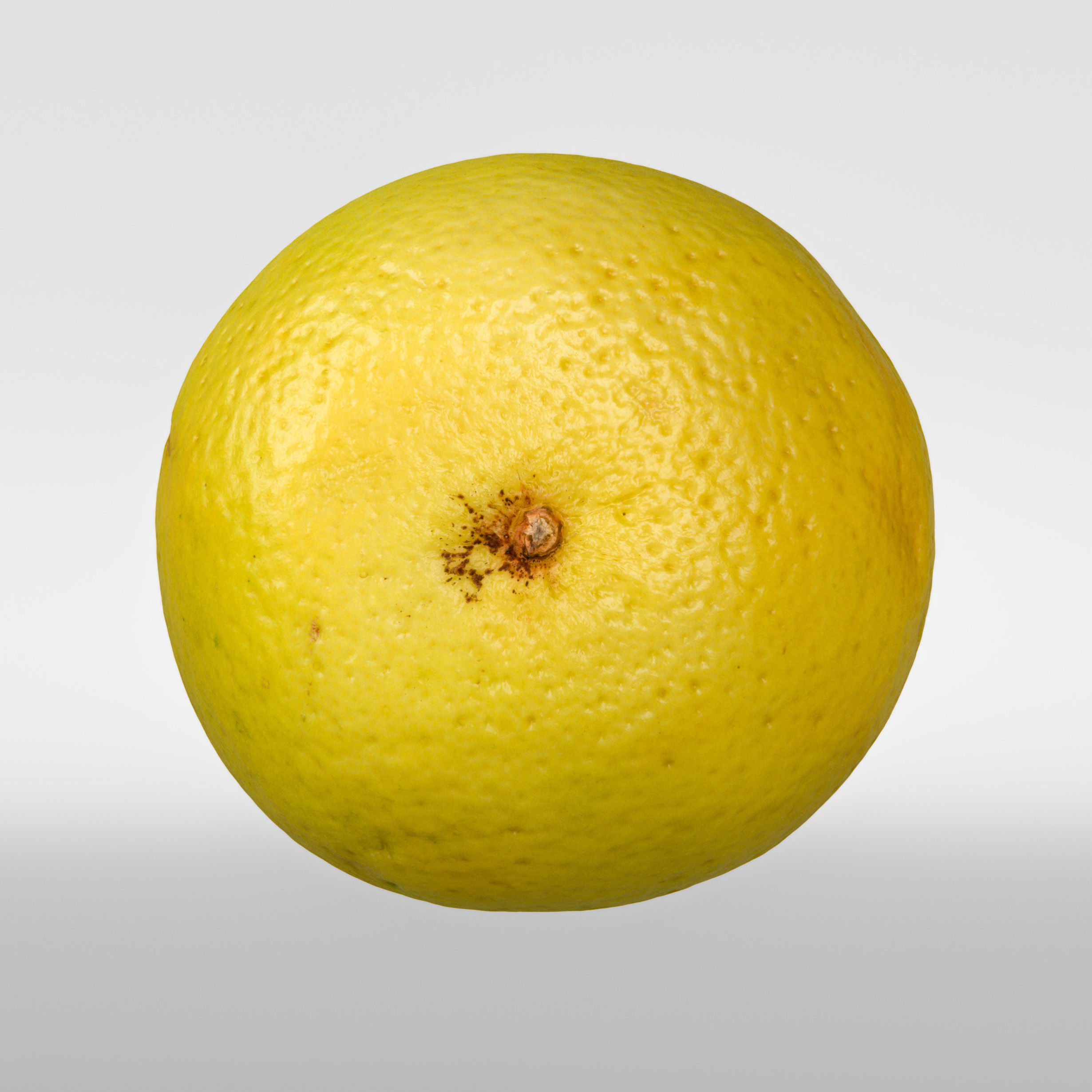 Grapefruit 3D model_5