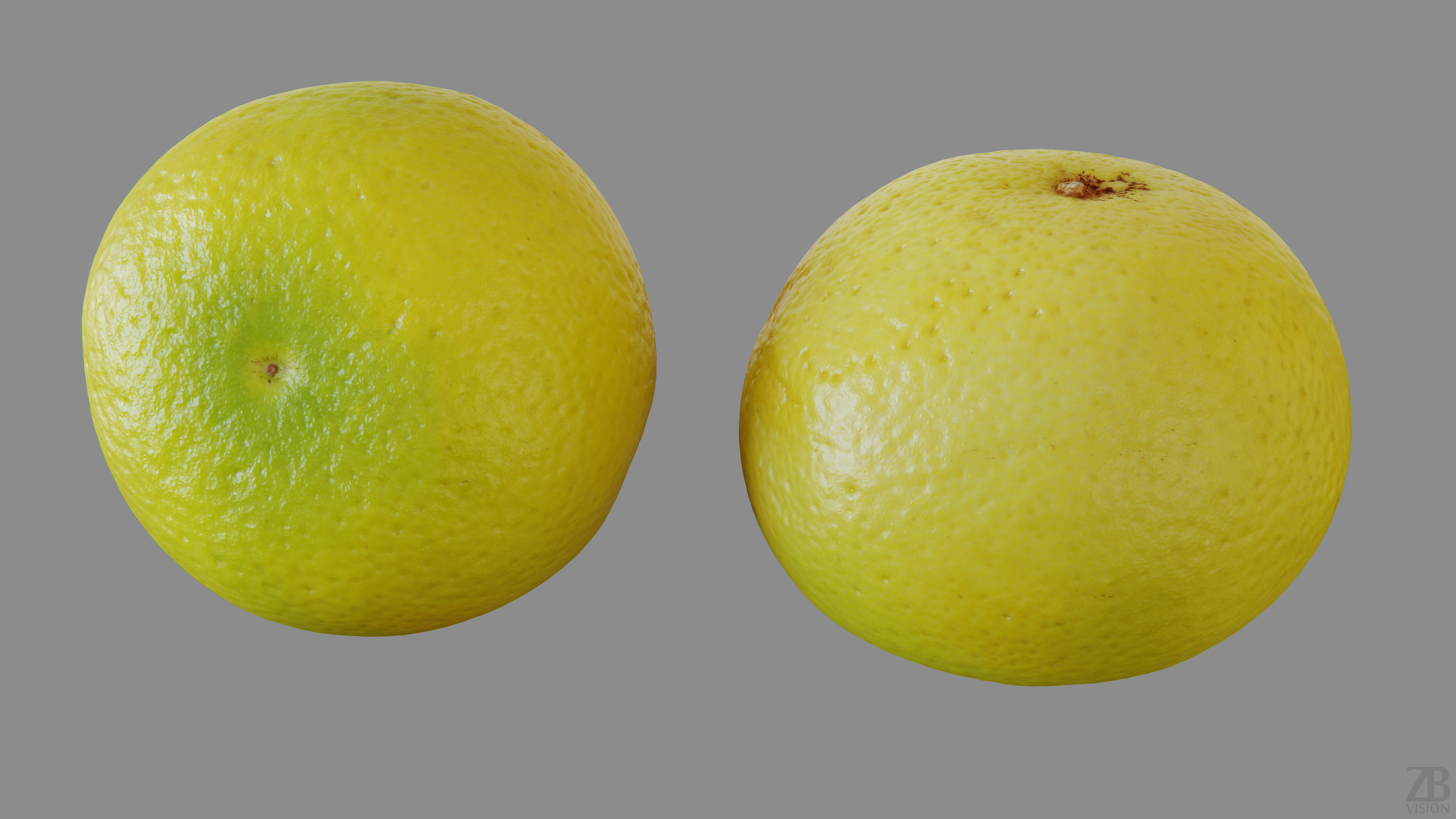 Grapefruit 3D model_12