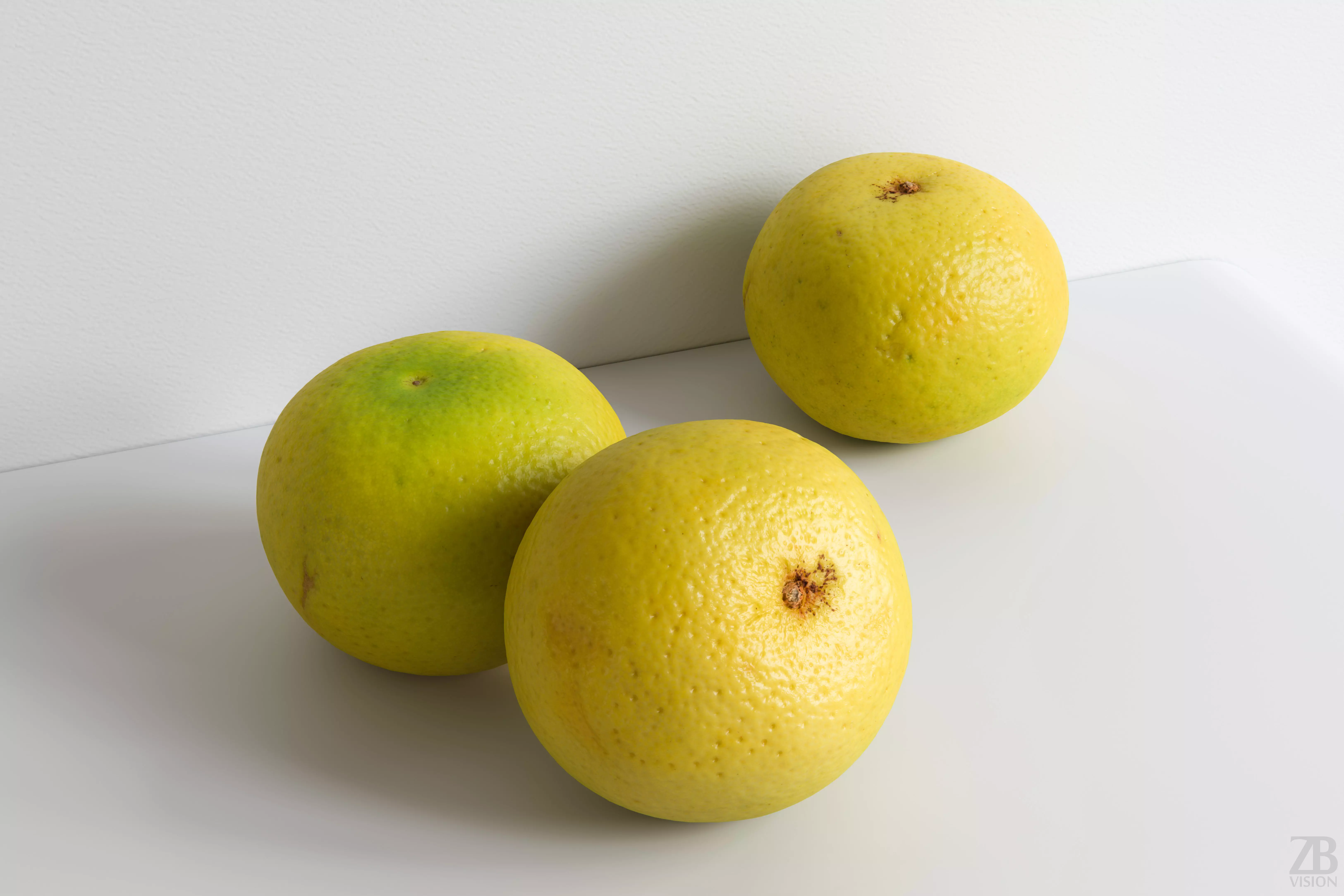 Grapefruit 3D model_0