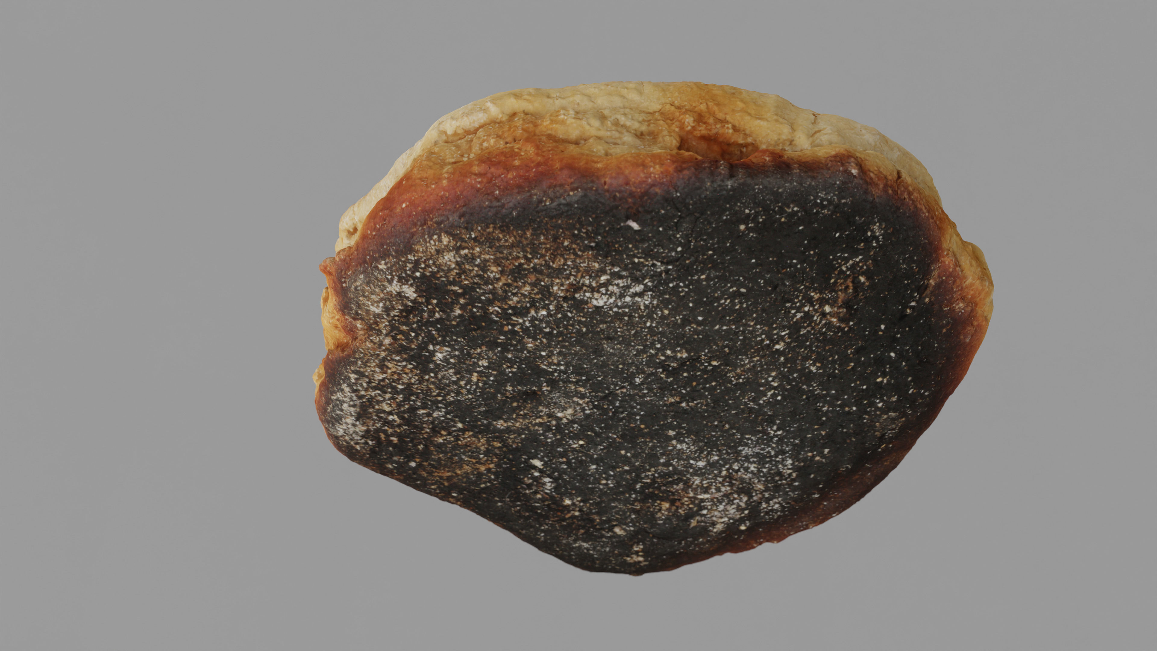 Photorealistic English Muffin - 5 LODs Free low-poly 3D model_6